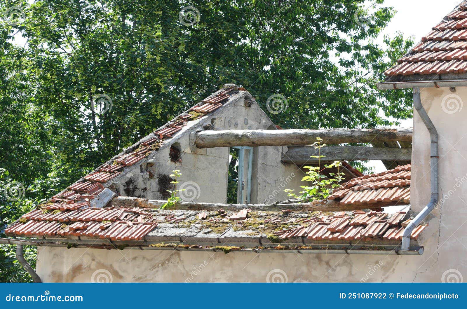 roof of the old house completely collapsed due to lack of mainte