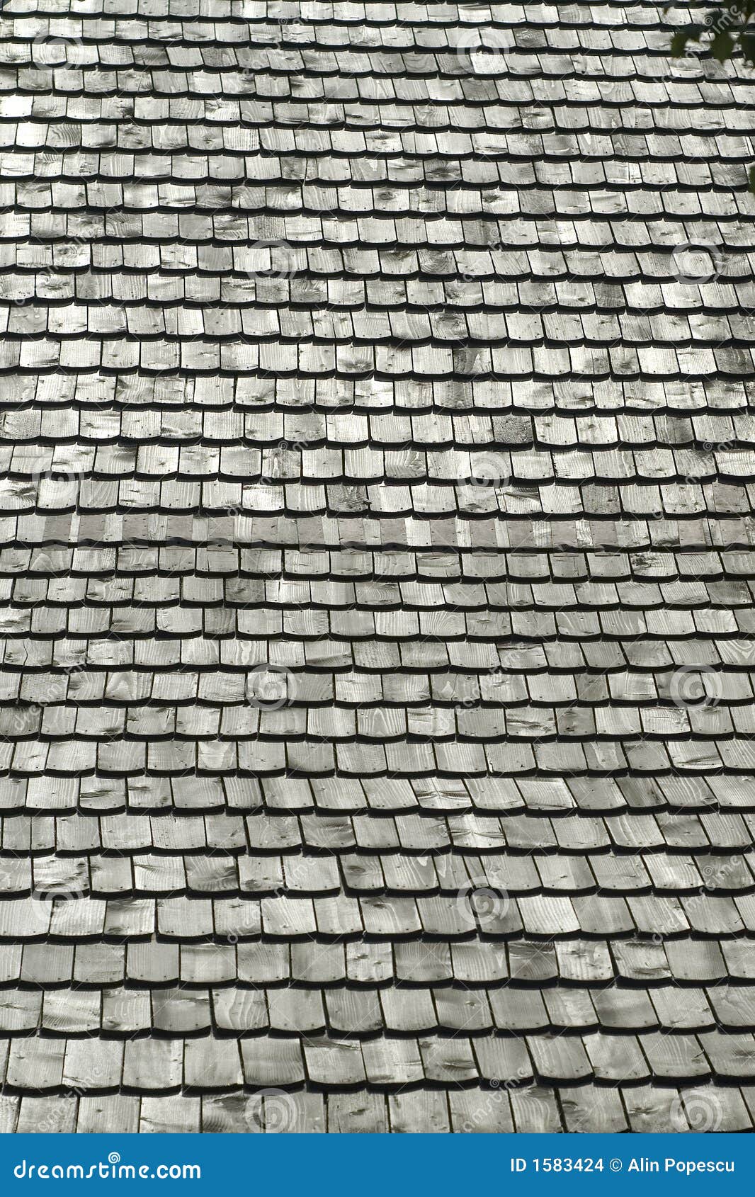 Roof pattern stock photo. Image of natural, architecture 1583424
