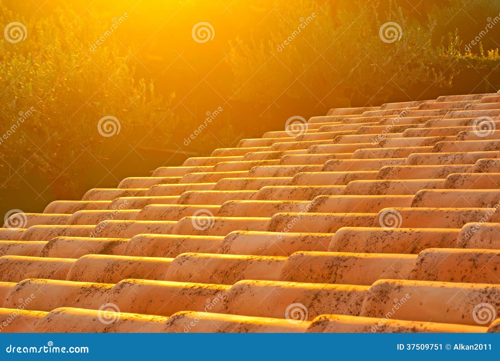 Roof at sunset stock image. Image of sunset, roof, flare 37509751
