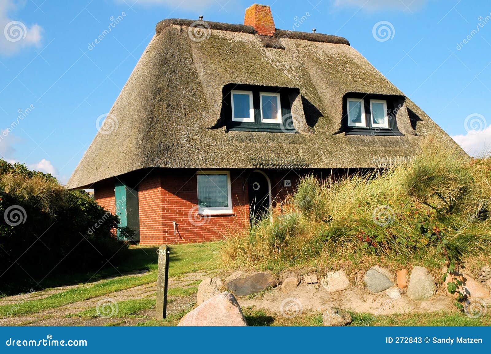 roof thatched house2