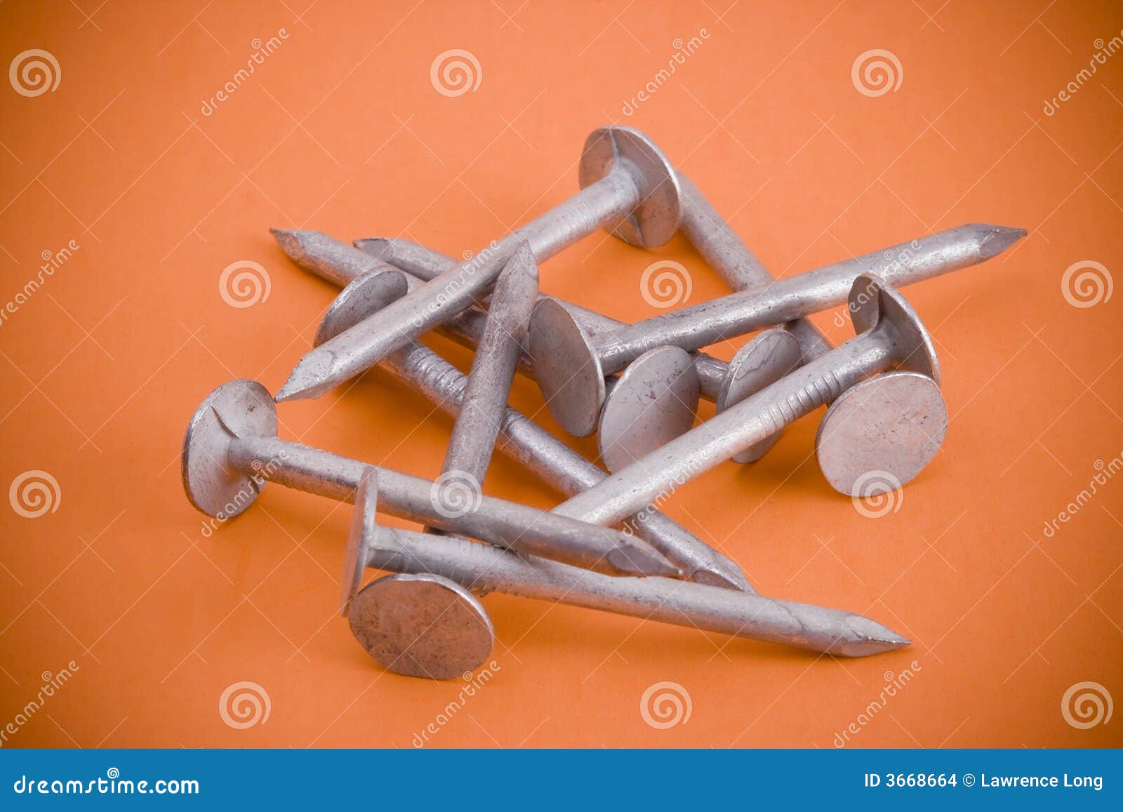 Roofing nails stock photo. Image of closeup, housing, carpentry 3668664