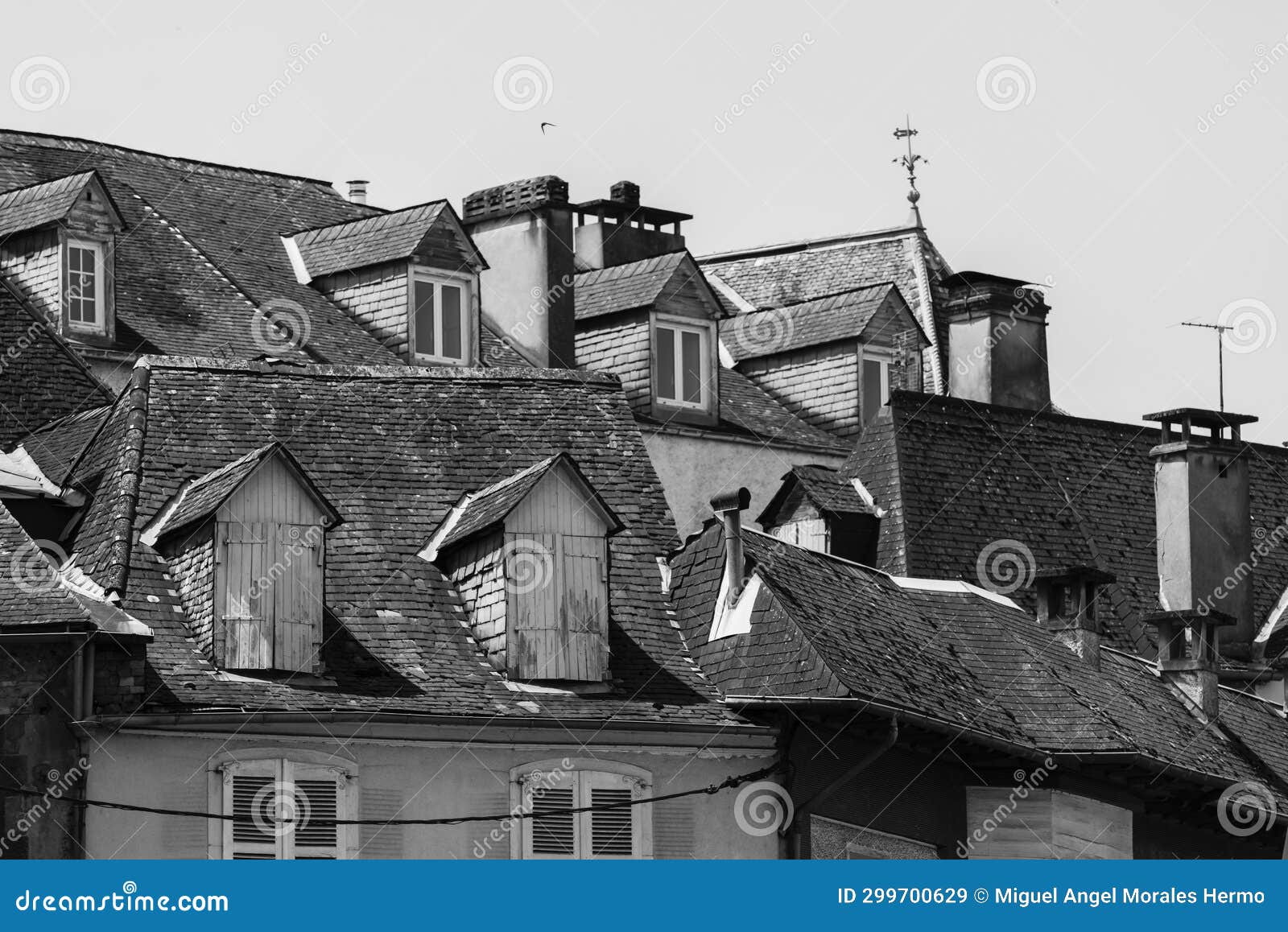 roofs with dormers and chimneys in france