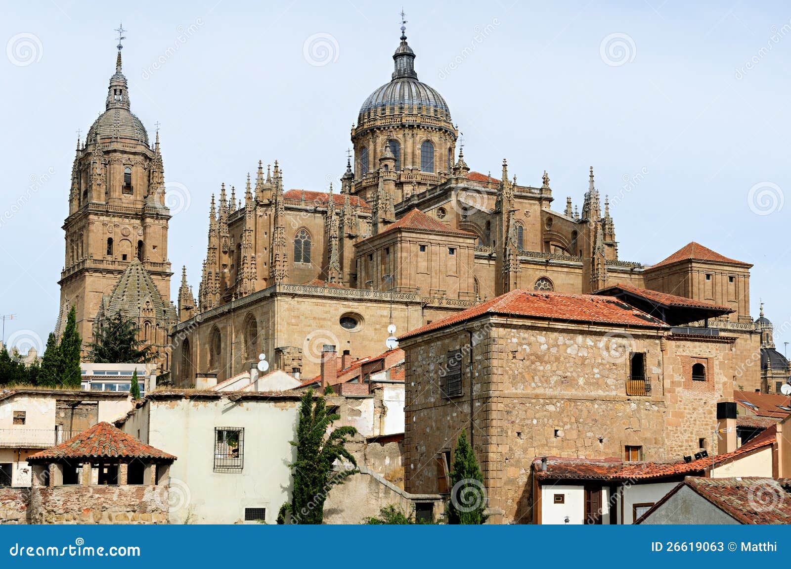 rooftops and cathedral of salamanca, spain