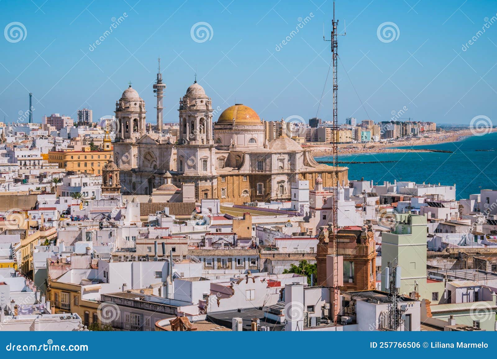 rooftops of houses in aerial view of the medieval city of cÃÂ¡diz and towers and cupula of cathedral de la santa cruz in seafront