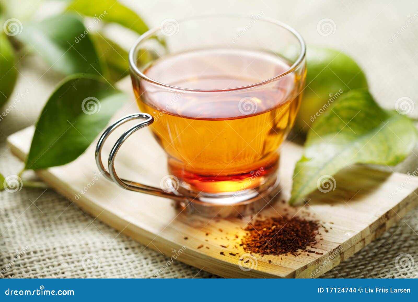 rooibos tea