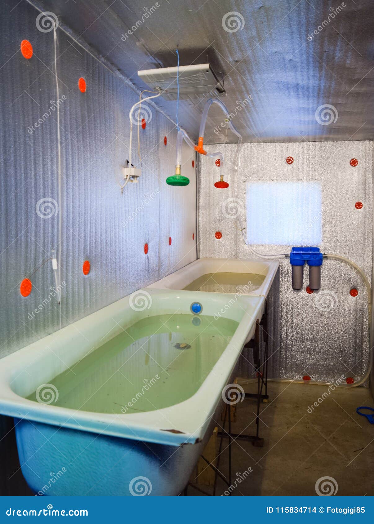 A Room for Growing Fish Fry. Bath for the Fry Stock Photo Image of