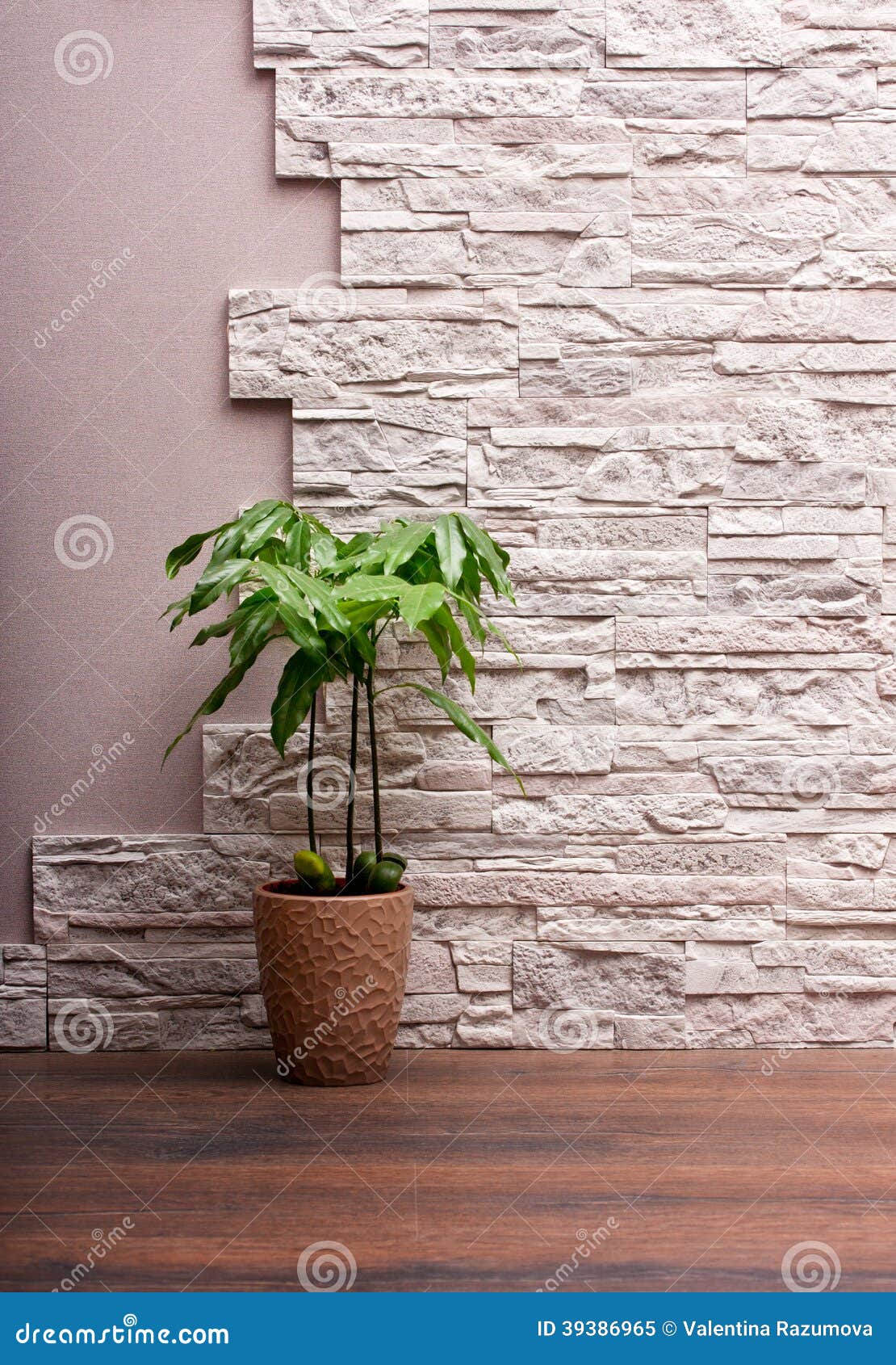 Room Interior with Stone Wall Stock Image - Image of space