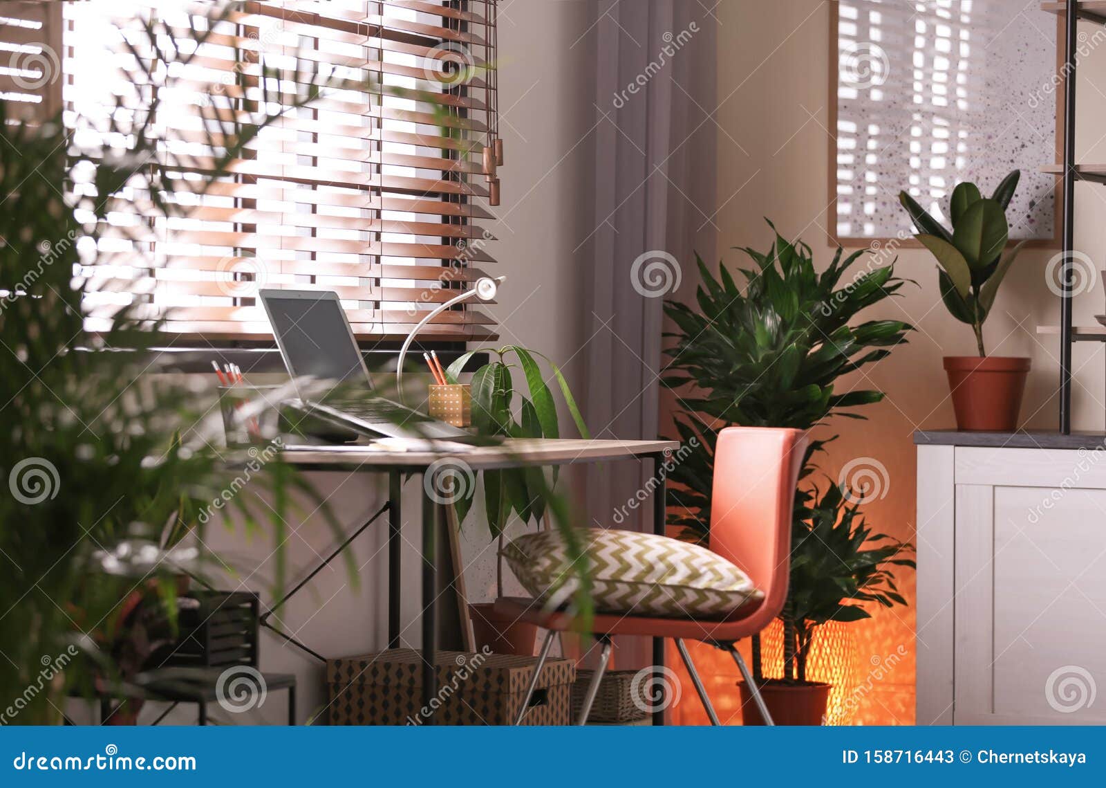 room interior with workplace and potted houseplants