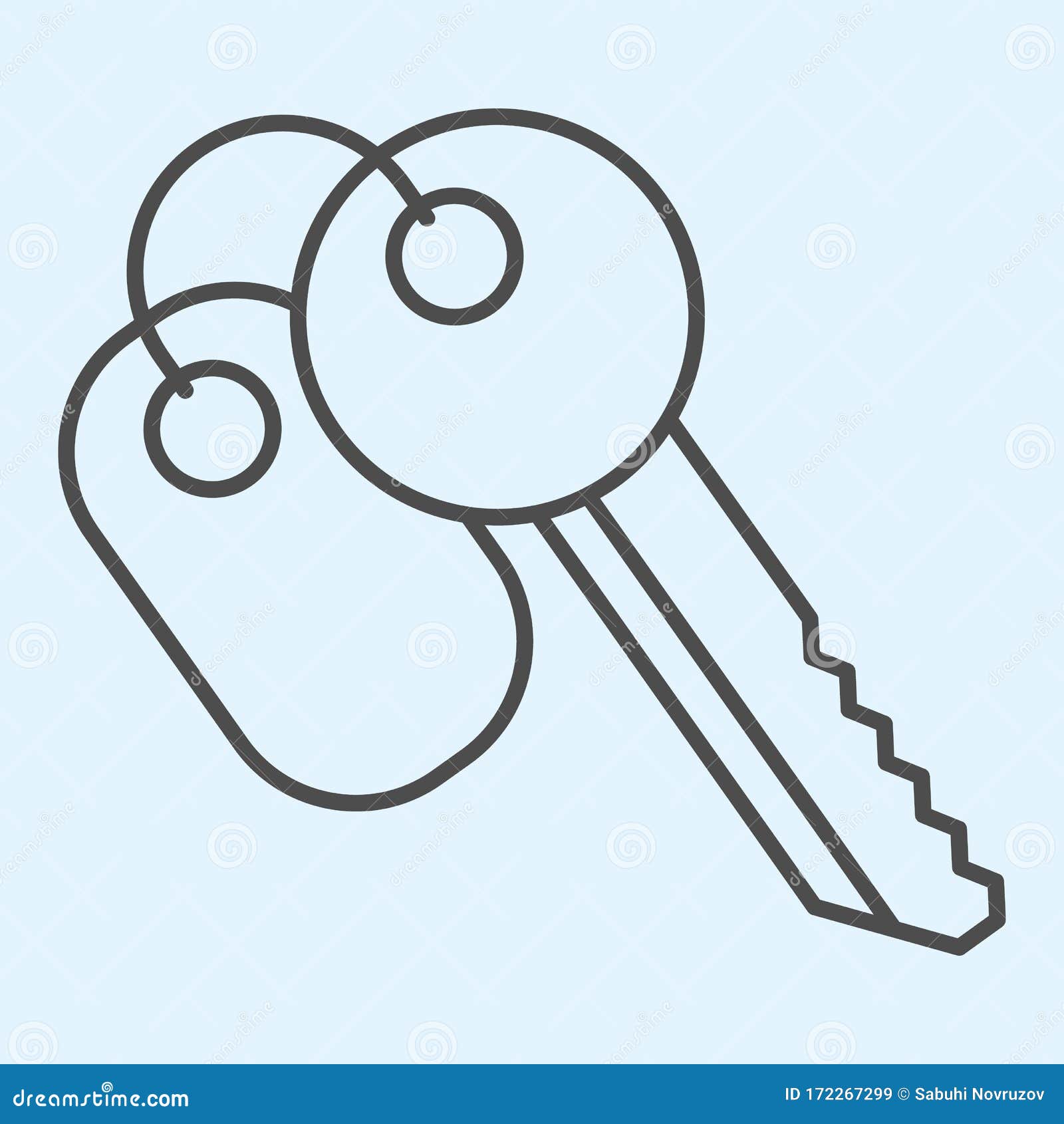 Key Line Icon Thin Line Design Vector Icon Stock Illustration