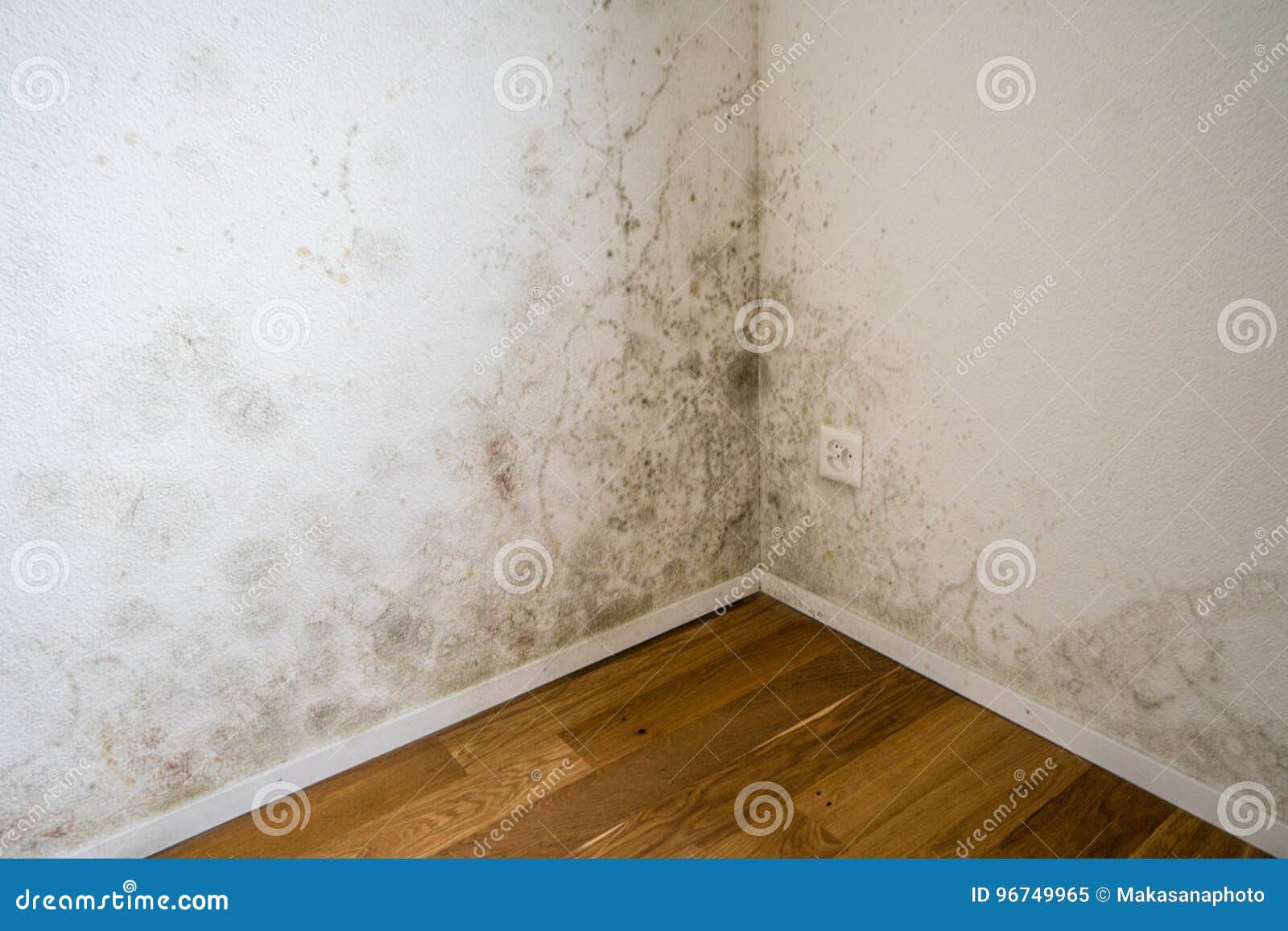 White Apartment Wall With Toxic Mold And Mildew Stock Image