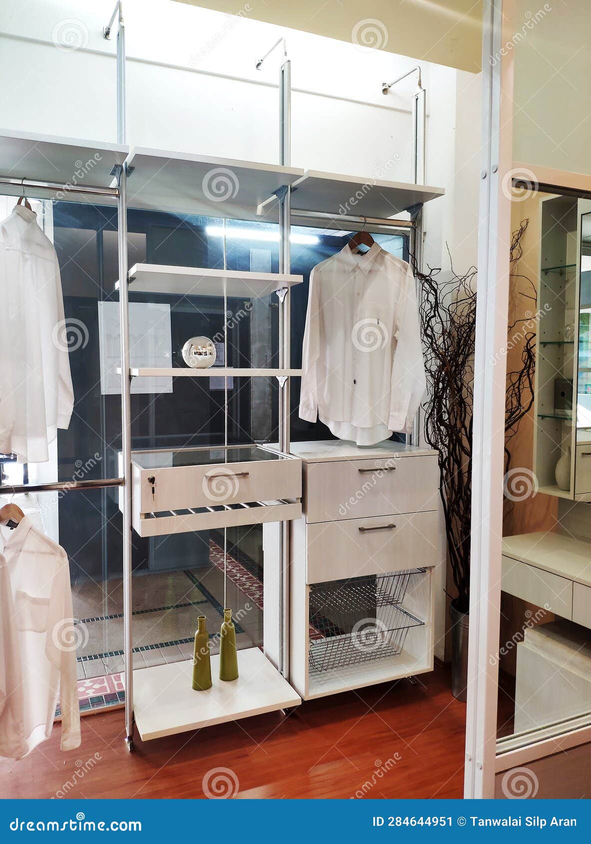 Room with the Open Empty Closet, Working Closet, Cupboard with Some ...