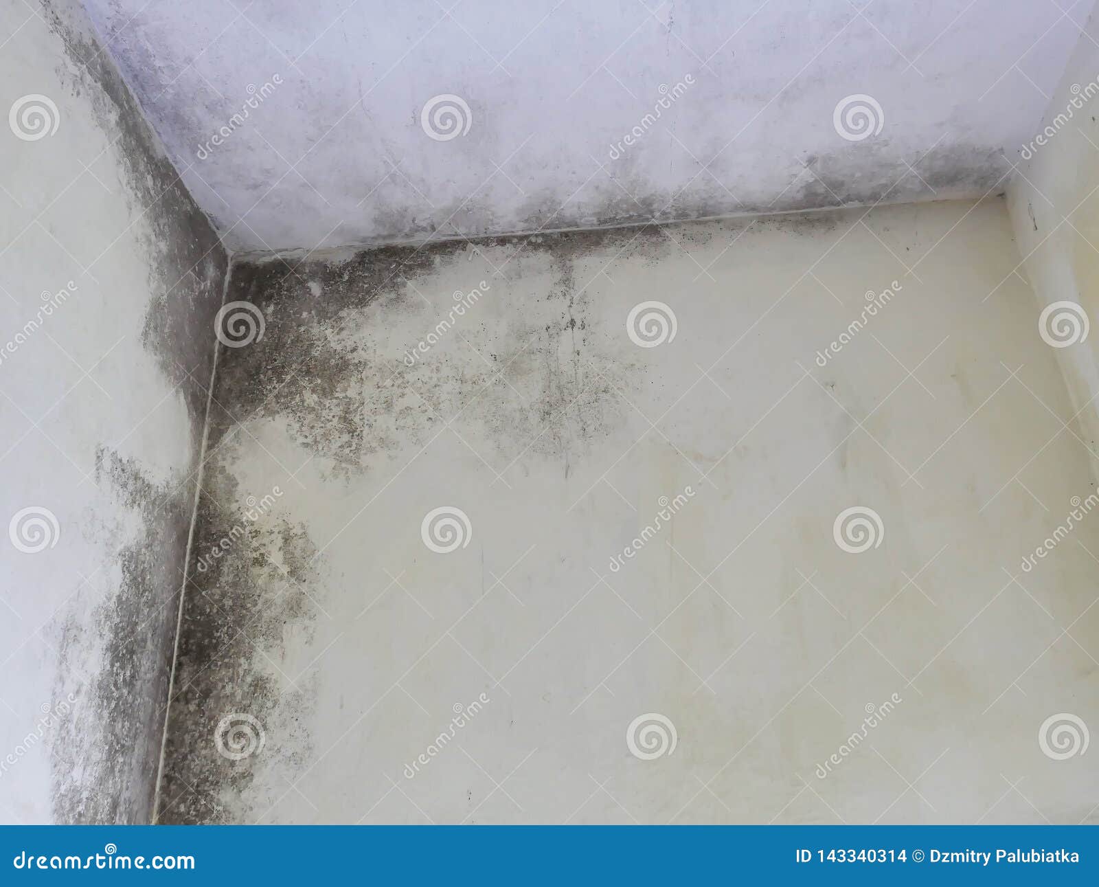 The Room Roof Is Leaking Mold On The Ceiling Stock Photo
