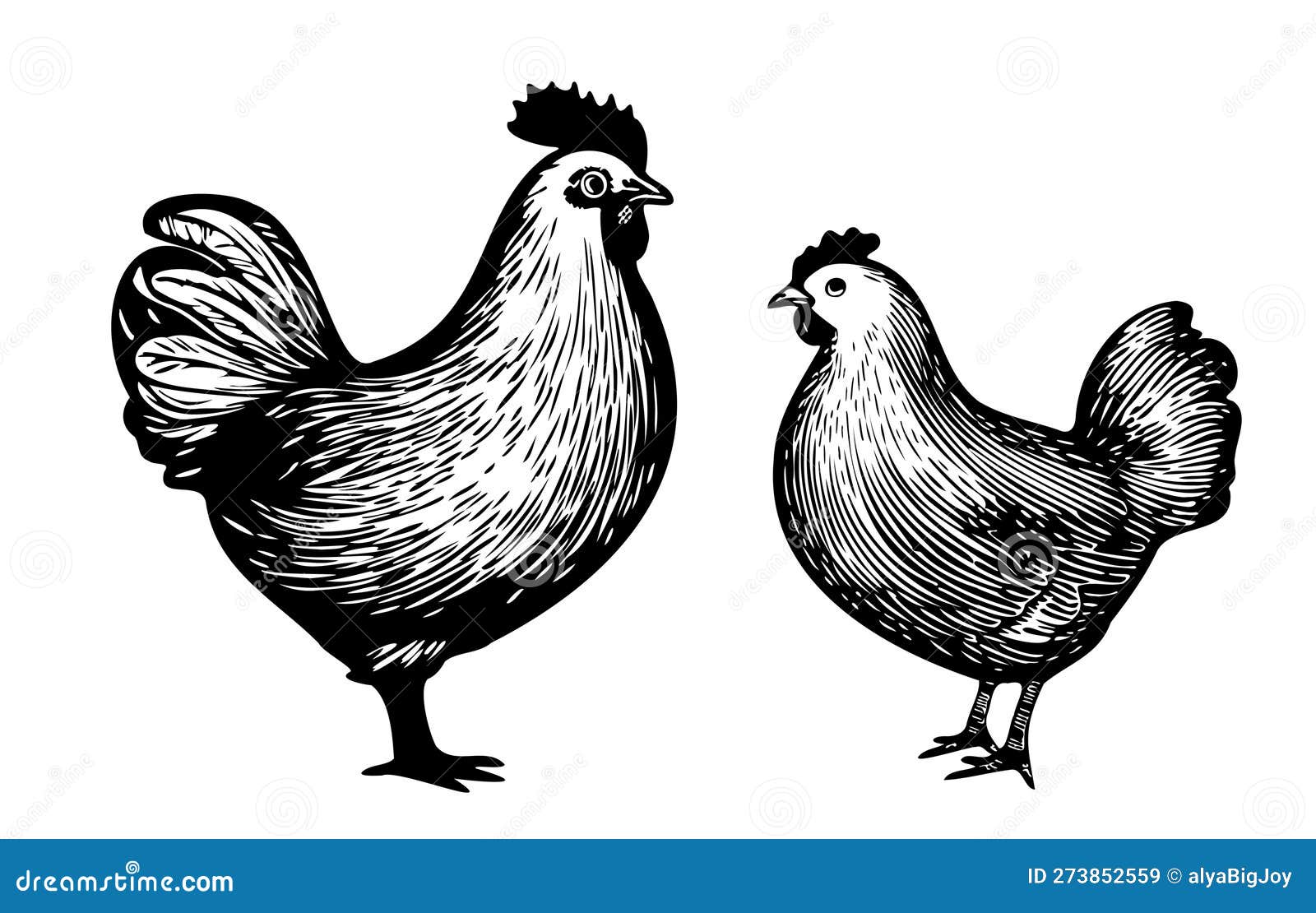 Hand drawn rooster sketch chicken isolated Vector Image