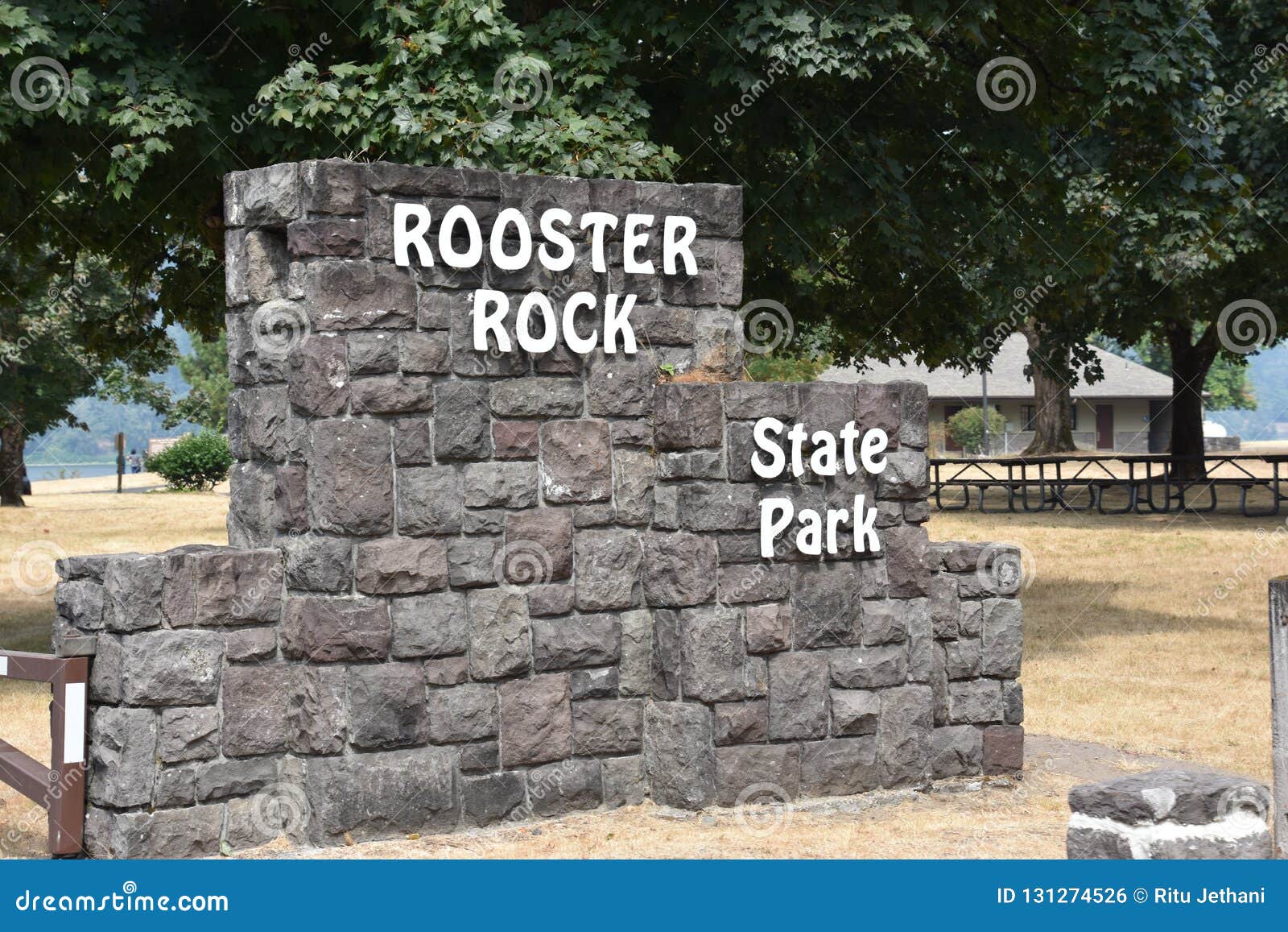 Rooster Rock State Park In Oregon Stock Photo - Image of rooster, oregon: 1...