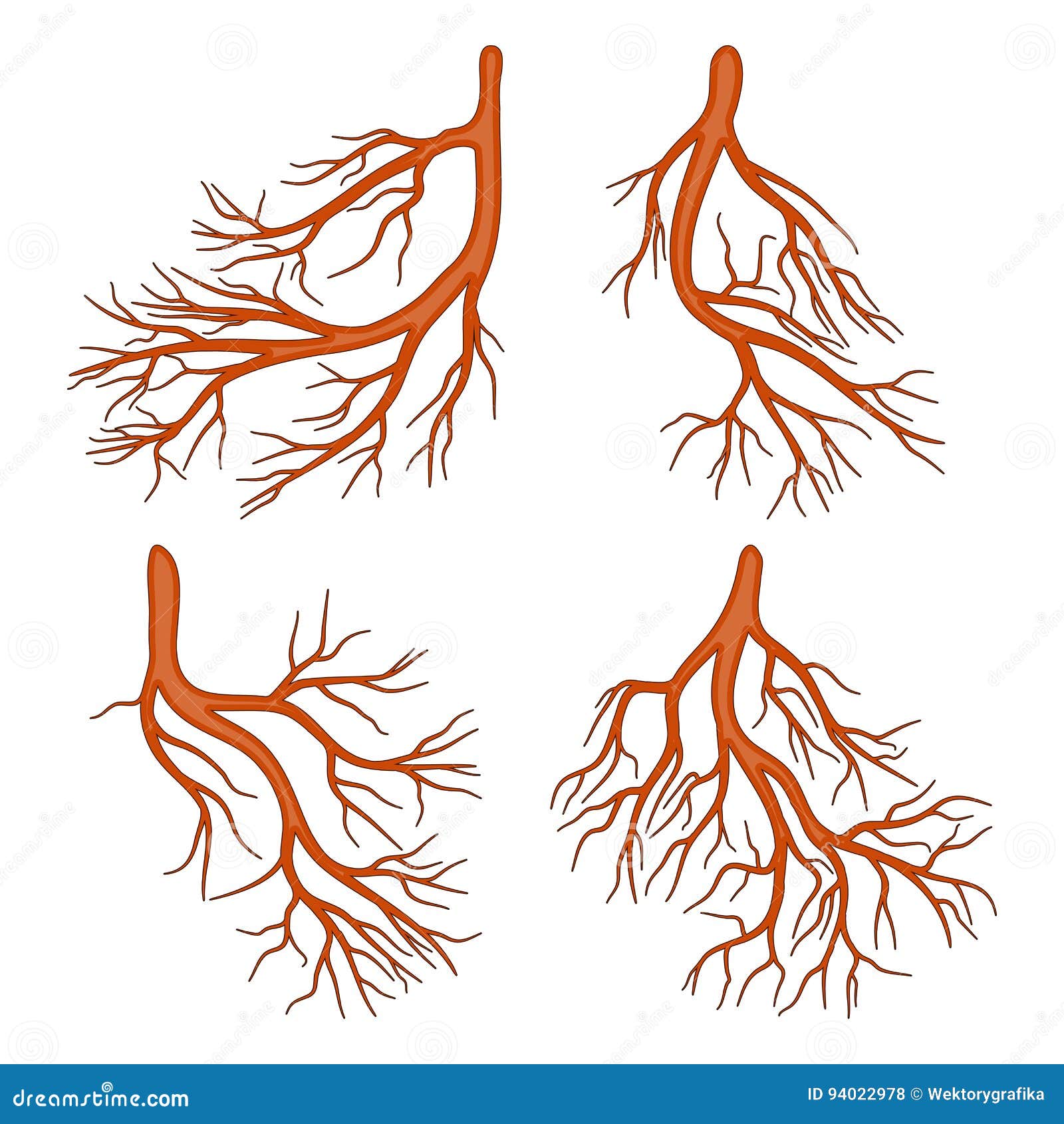 Root Plant Cartoon Vector Symbol Icon Design. Beautiful Illustr Stock Vector - Illustration of abstract, icon: 94022978 Root Plant Cartoon Vector Symbol Icon Design. Beautiful Illustr Stock Vector - Illustration of abstract, icon: 94022978