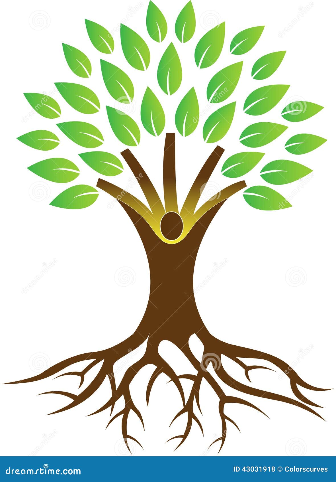 Root Tree Drawing, family tree, leaf, text, branch png | PNGWing