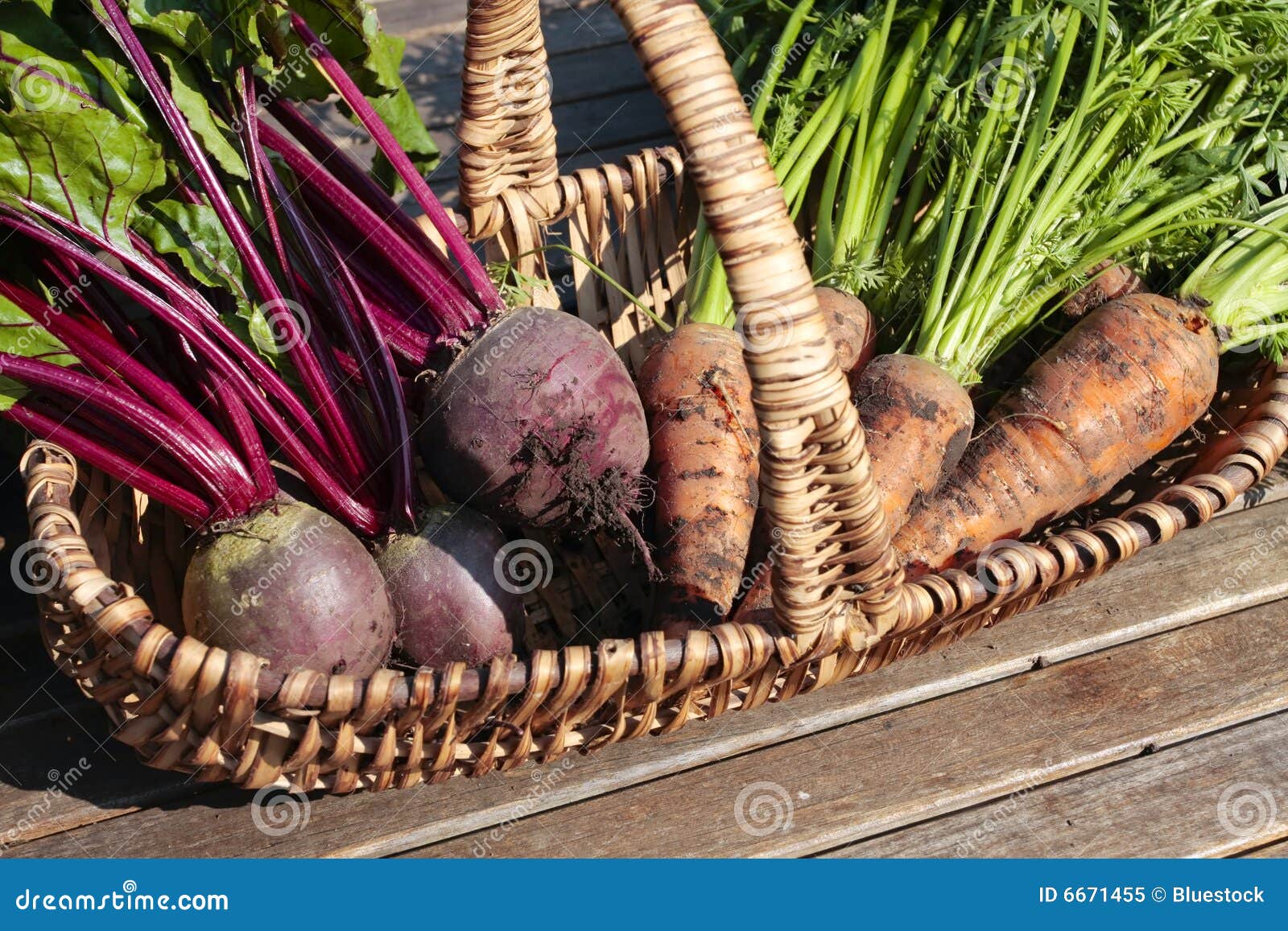 Root vegetables in basket stock image. Image of purple 6671455