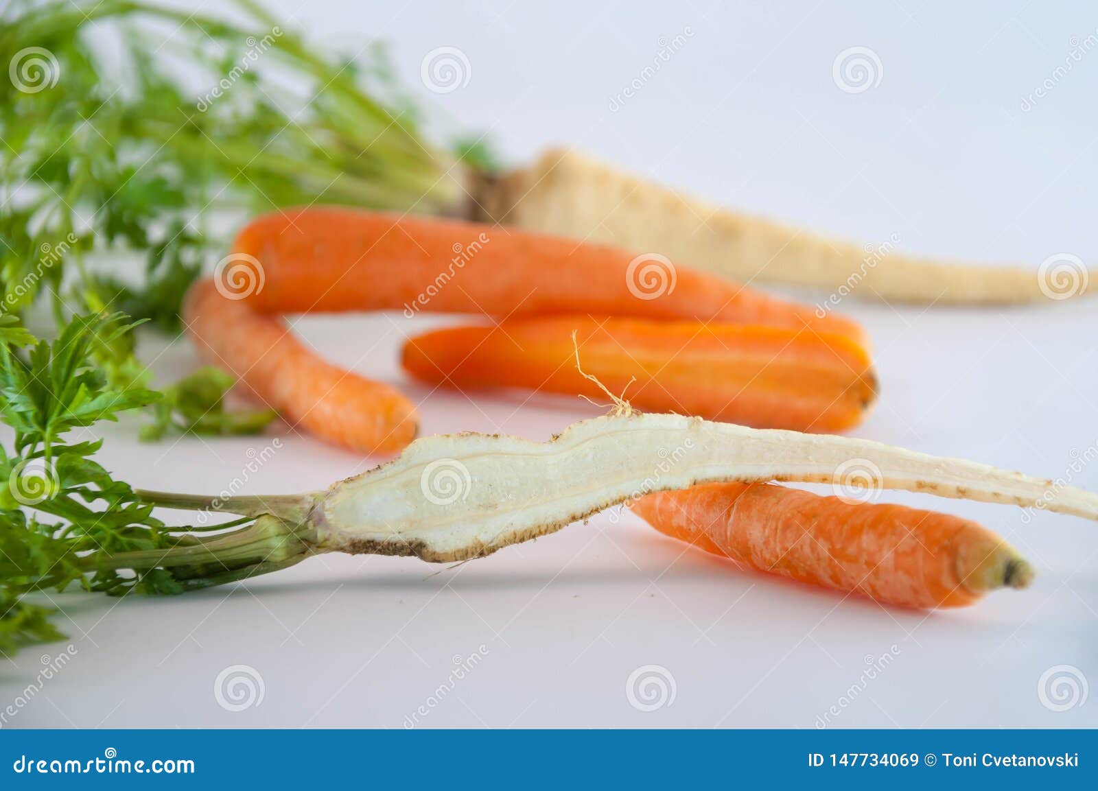 Root Vegetables. Carrots and Parsley Stock Image Image of kitchen