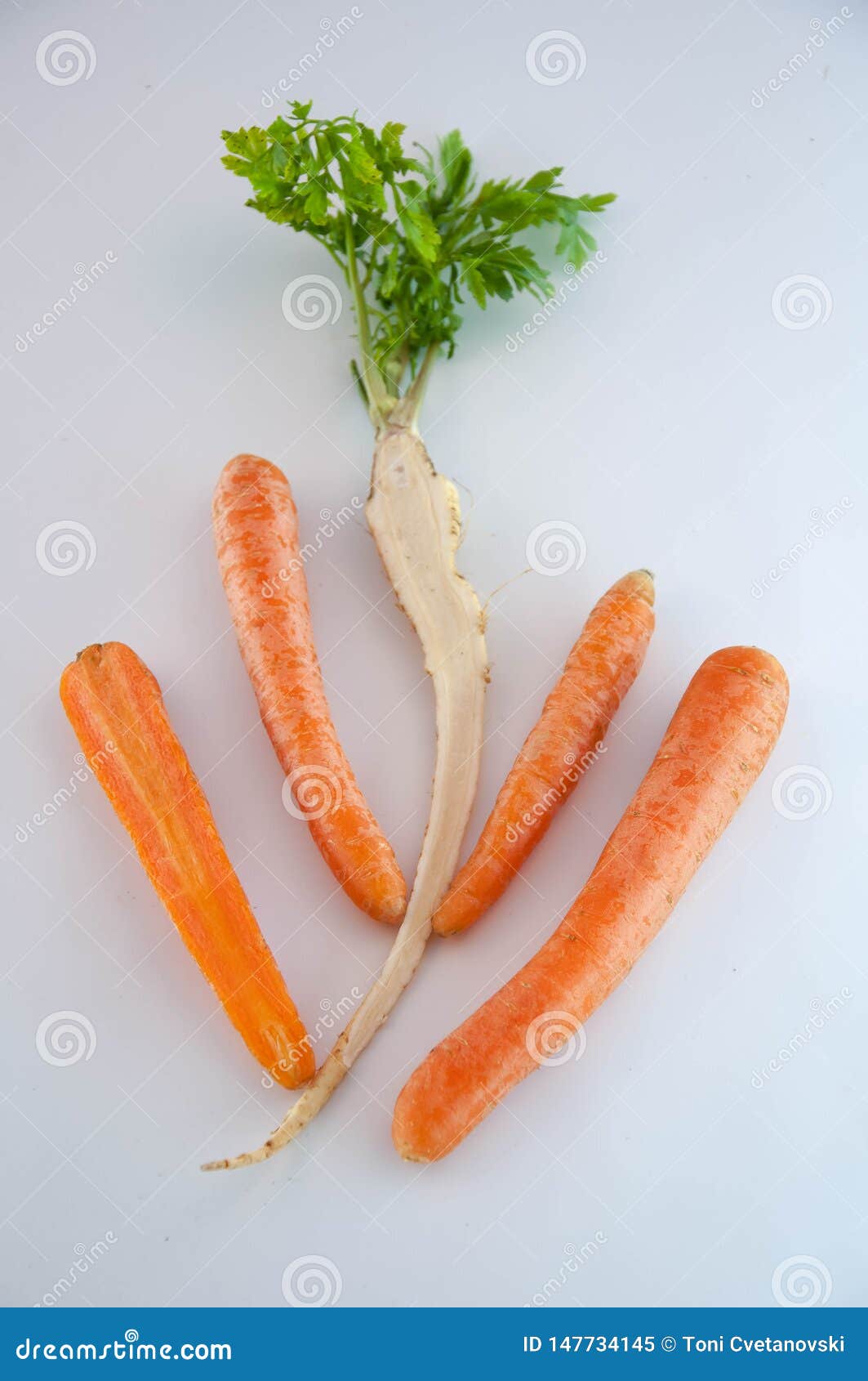 Root Vegetables. Carrots and Parsley Stock Image Image of agriculture