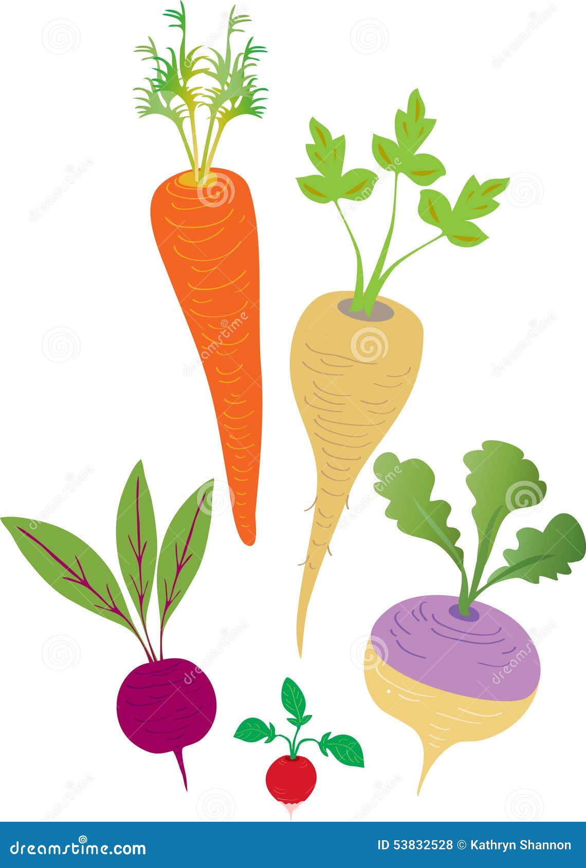 root vegetables clipart - photo #2