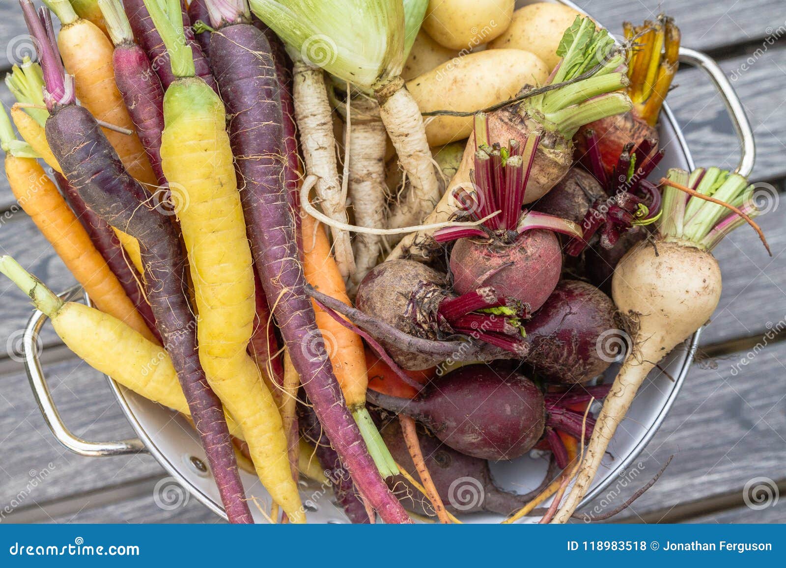 root vegetables from the garden