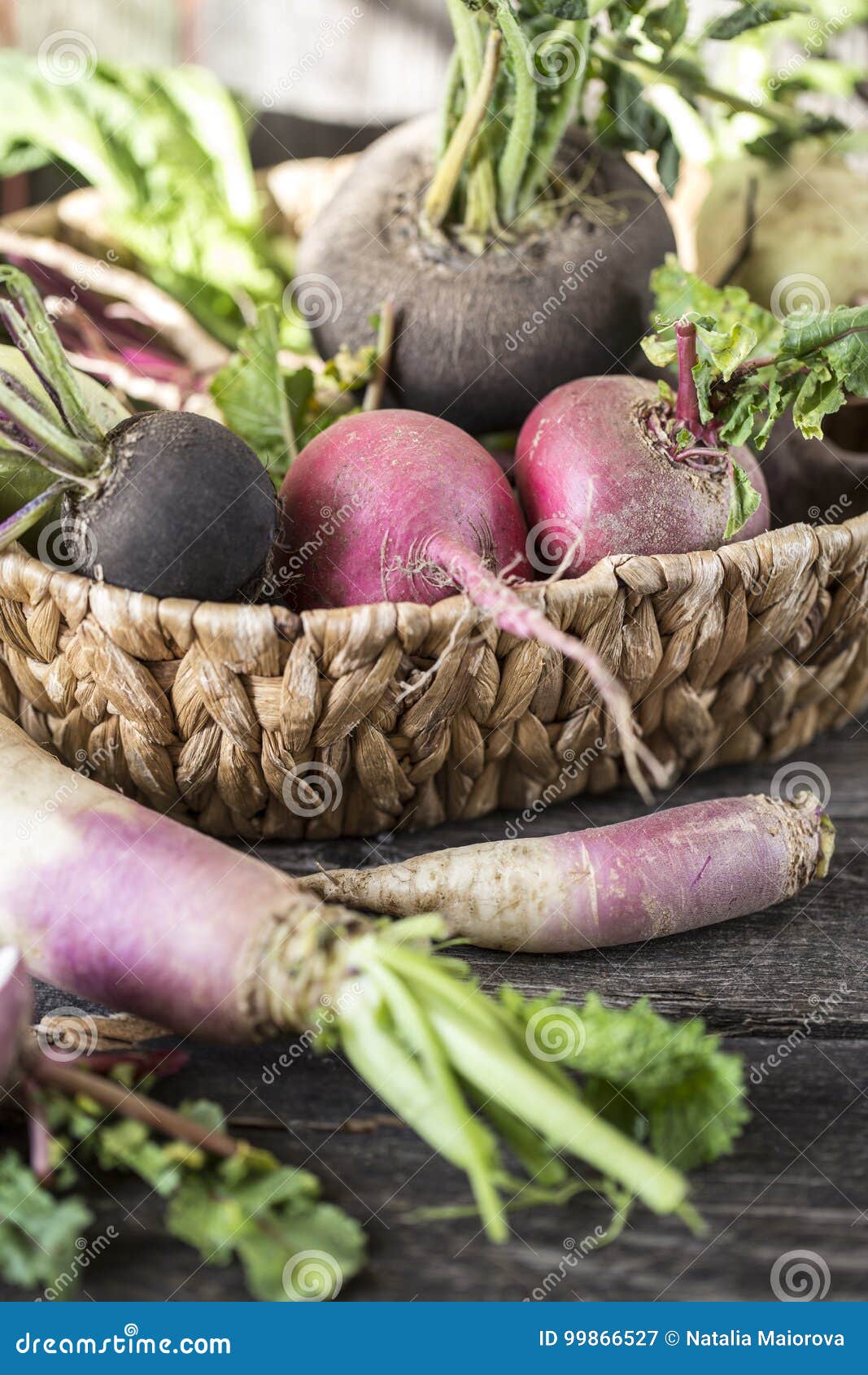 Root Vegetables Turnips, Radishes, Beets on a Wooden Background Stock
