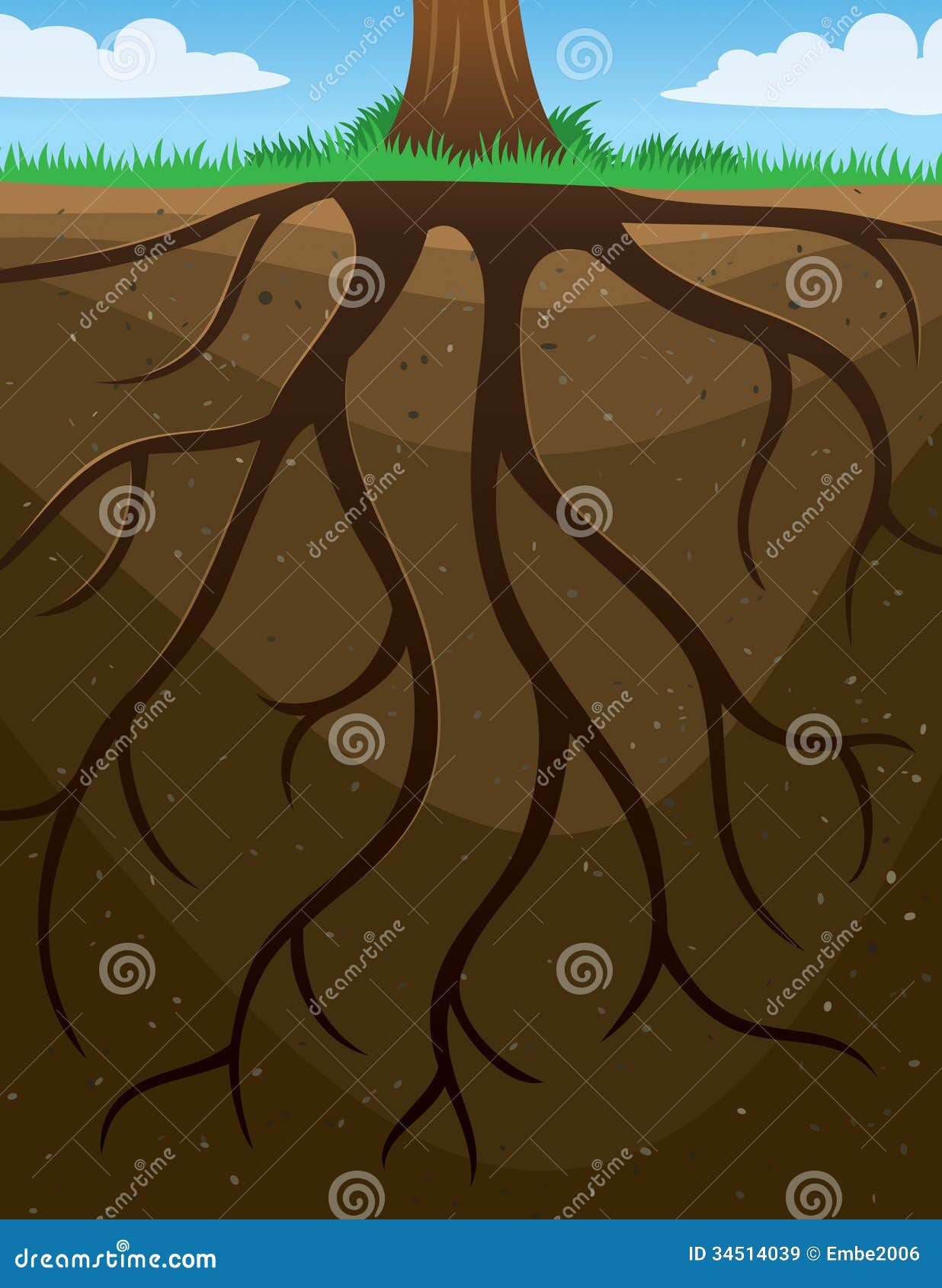 Tree Roots Cartoon Stock Illustrations – 1,876 Tree Roots Cartoon Stock Illustrations, Vectors & Clipart - Dreamstime Tree Roots Cartoon Stock Illustrations – 1,876 Tree Roots Cartoon Stock Illustrations, Vectors & Clipart - Dreamstime