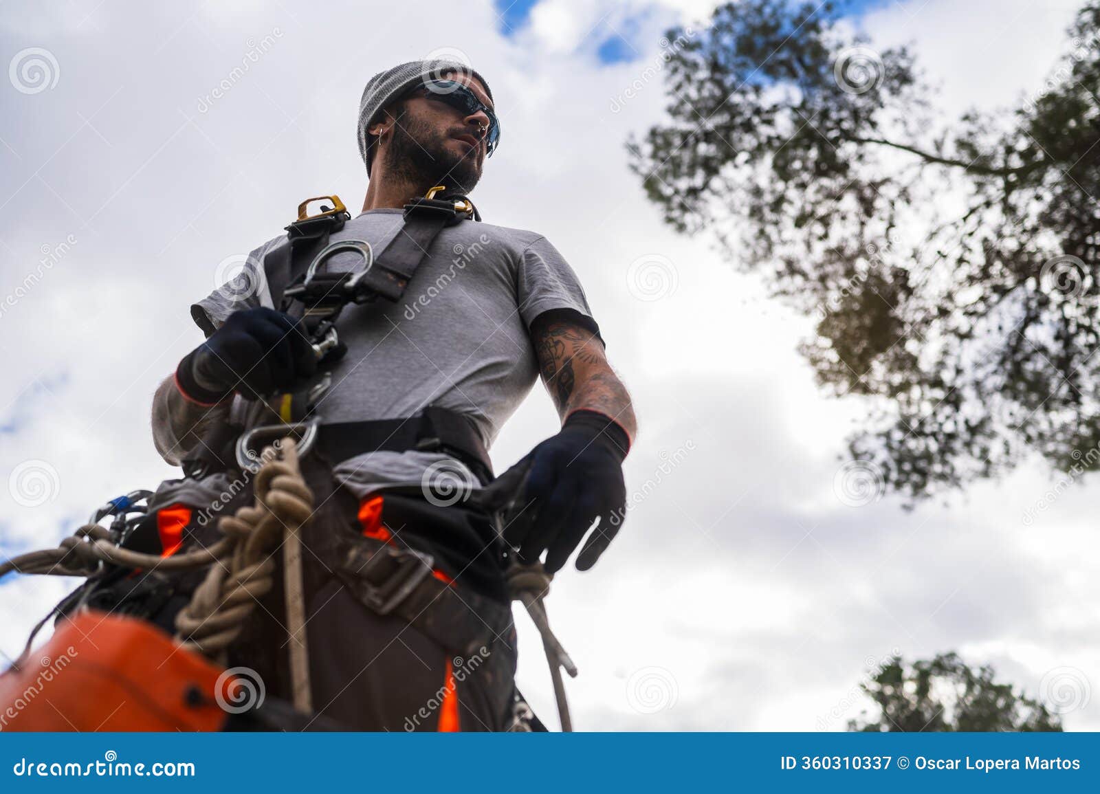 Unlocking Residential Tree Trimming Benefits: Why It's a Smart Move for ...