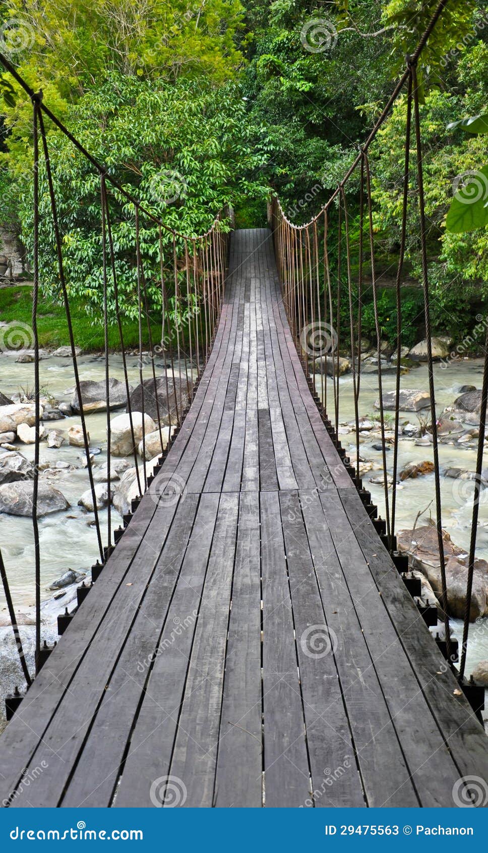 593 Rope Bridge Side Stock Photos - Free & Royalty-Free Stock Photos from  Dreamstime