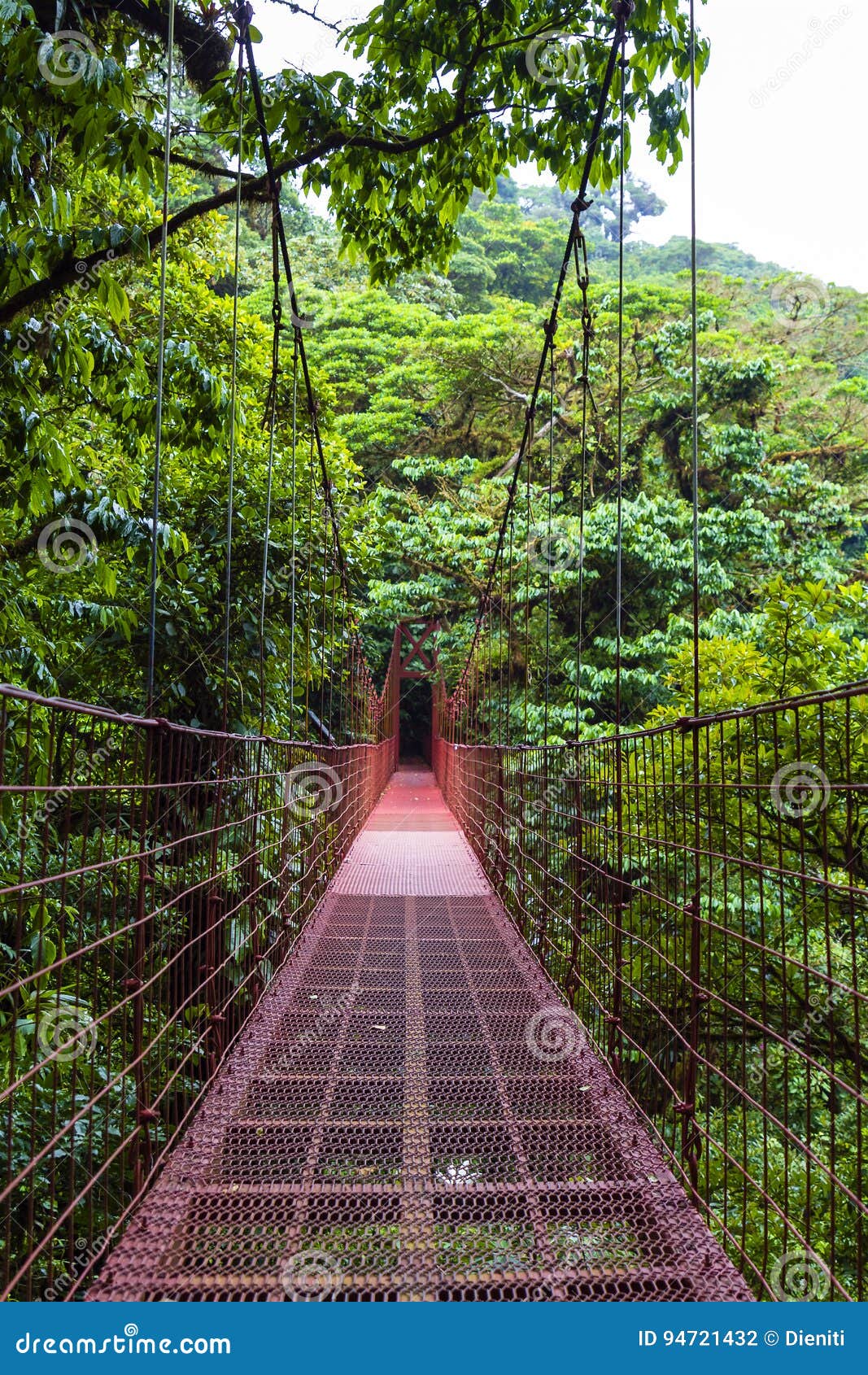 rope bridge - monteverde cloud forest reserve