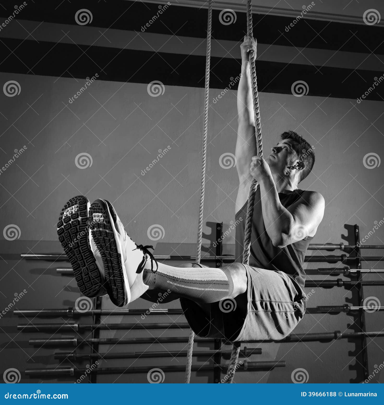 Rope Climb Exercise Man Workout at Gym Stock Photo - Image of