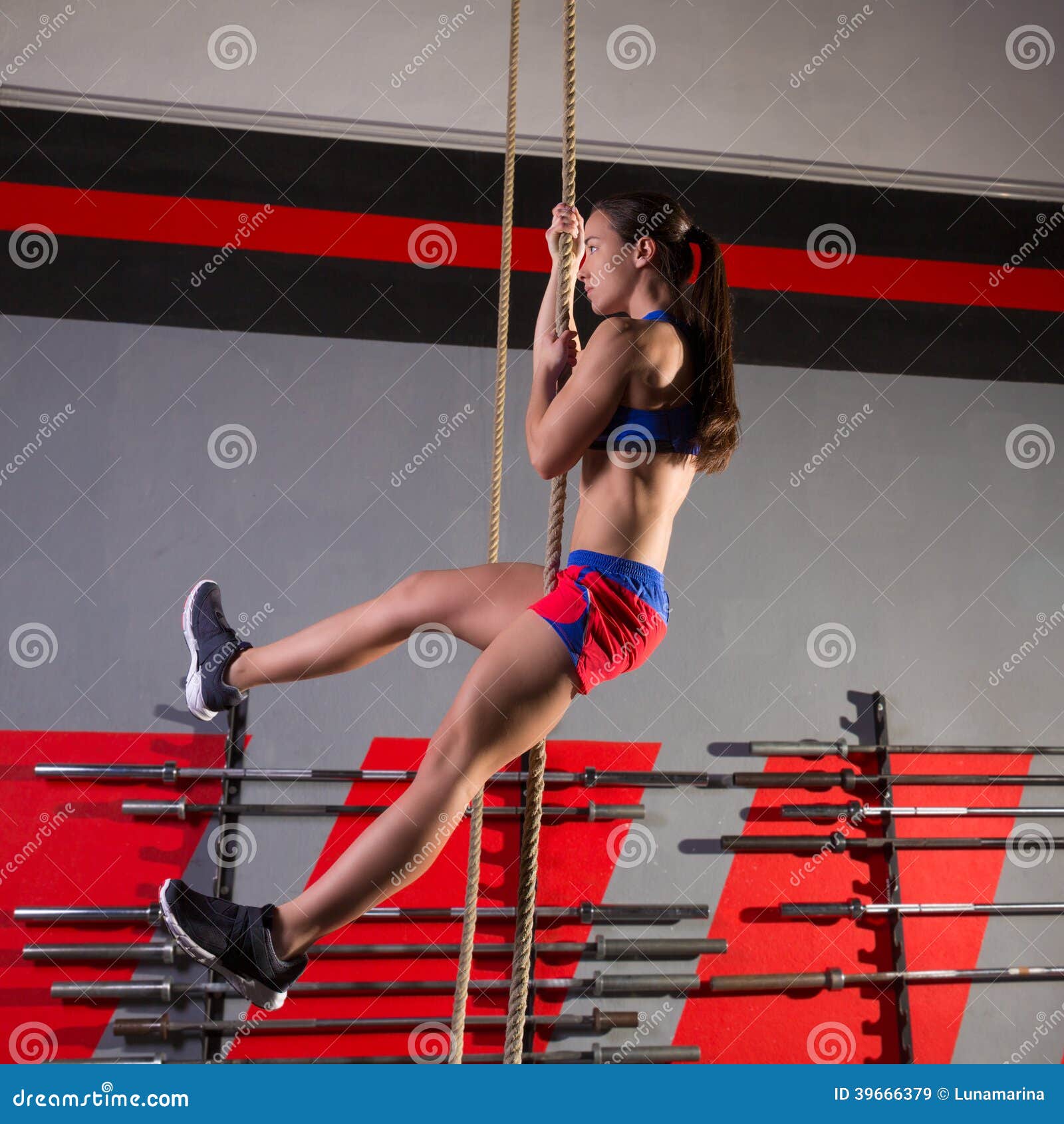 Rope Climb Exercise Woman Workout at Gym Stock Image - Image of muscle,  cross: 39666379