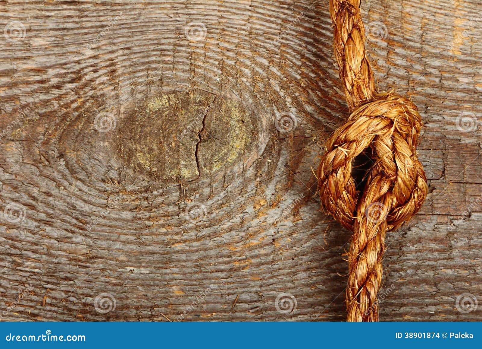 10,657 Cut Rope Stock Photos - Free & Royalty-Free Stock Photos from  Dreamstime