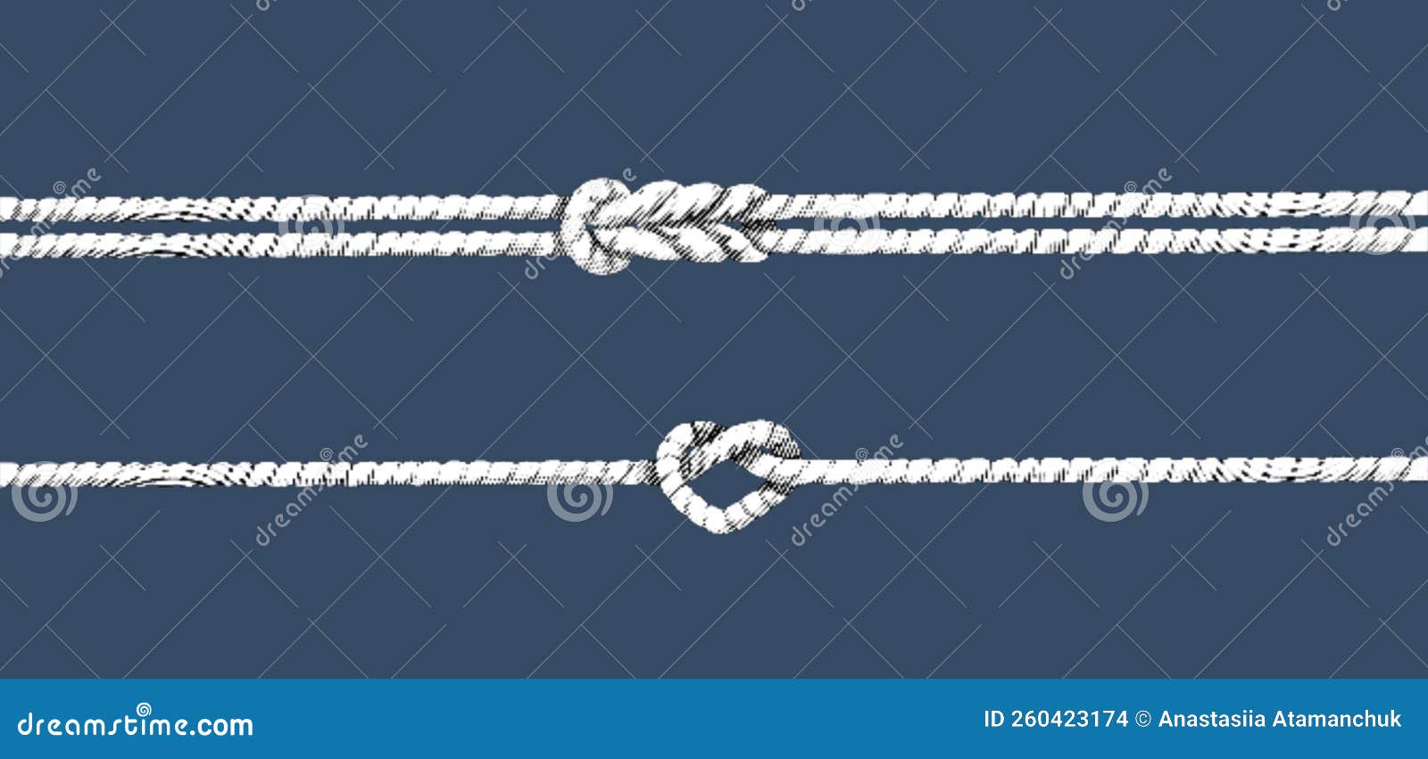 Rope Engraving. Realistic Illustration of the Rope Stock Illustration ...