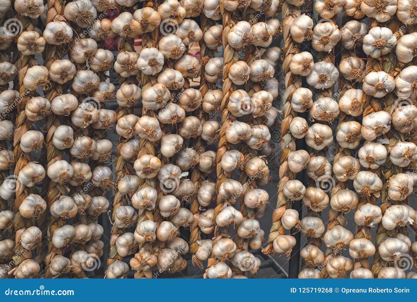 Rope with Garlic at the Market Stall Stock Photo Image of flavour
