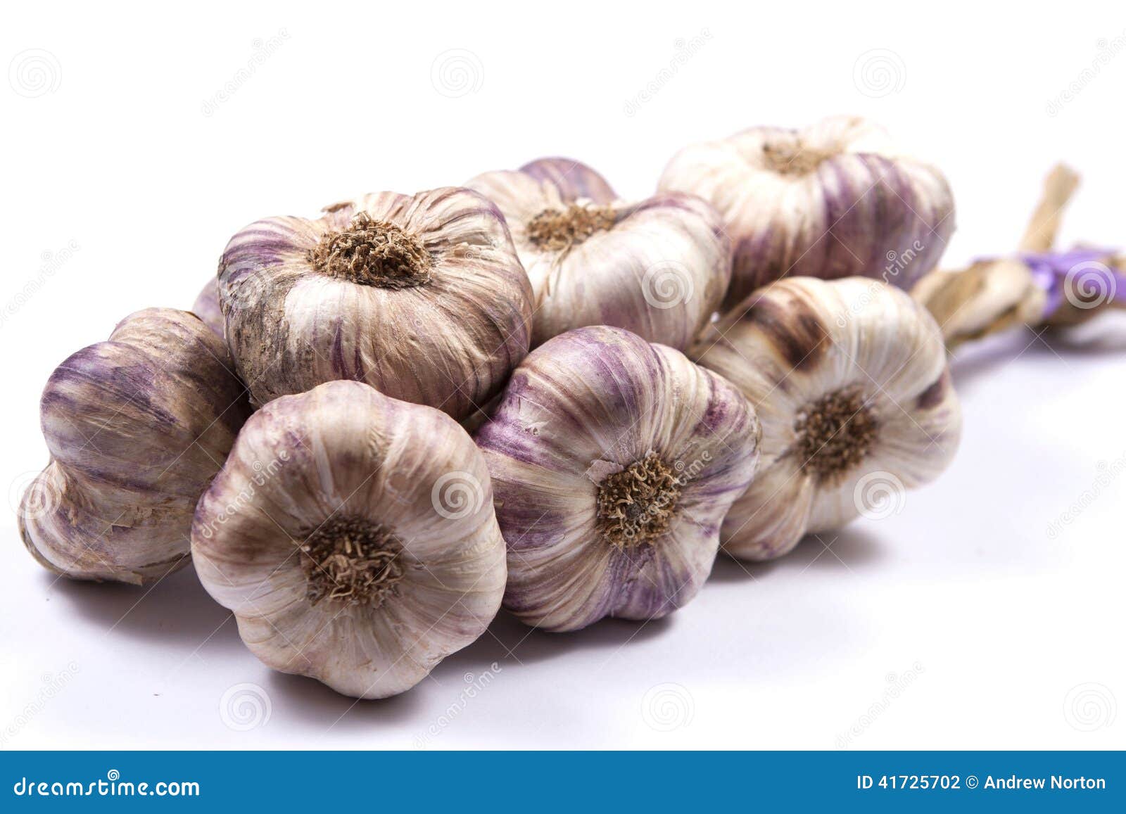 Rope of garlic stock photo. Image of herb, root, bulbs 41725702