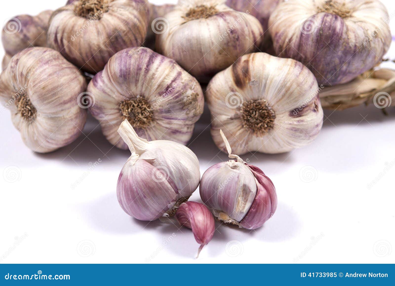 Rope of garlic stock image. Image of cook, flavour, bulb 41733985