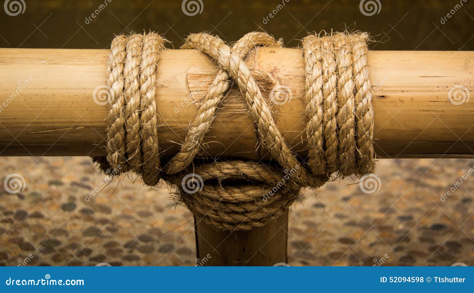 Rope knot on a bamboo stock photo. Image of outdoors - 52094598