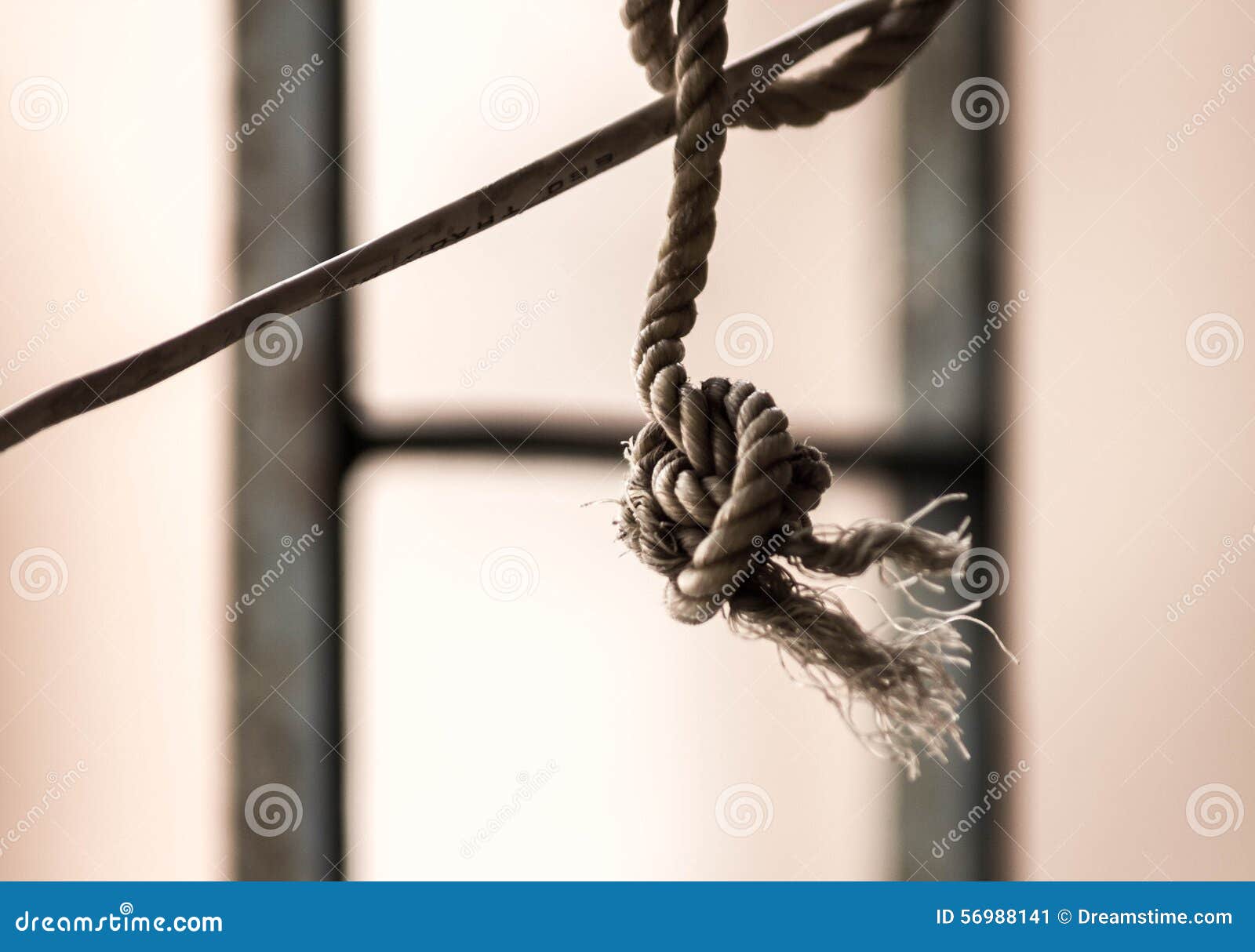 Rope Knot stock image. Image of creative, branch, abstract 56988141