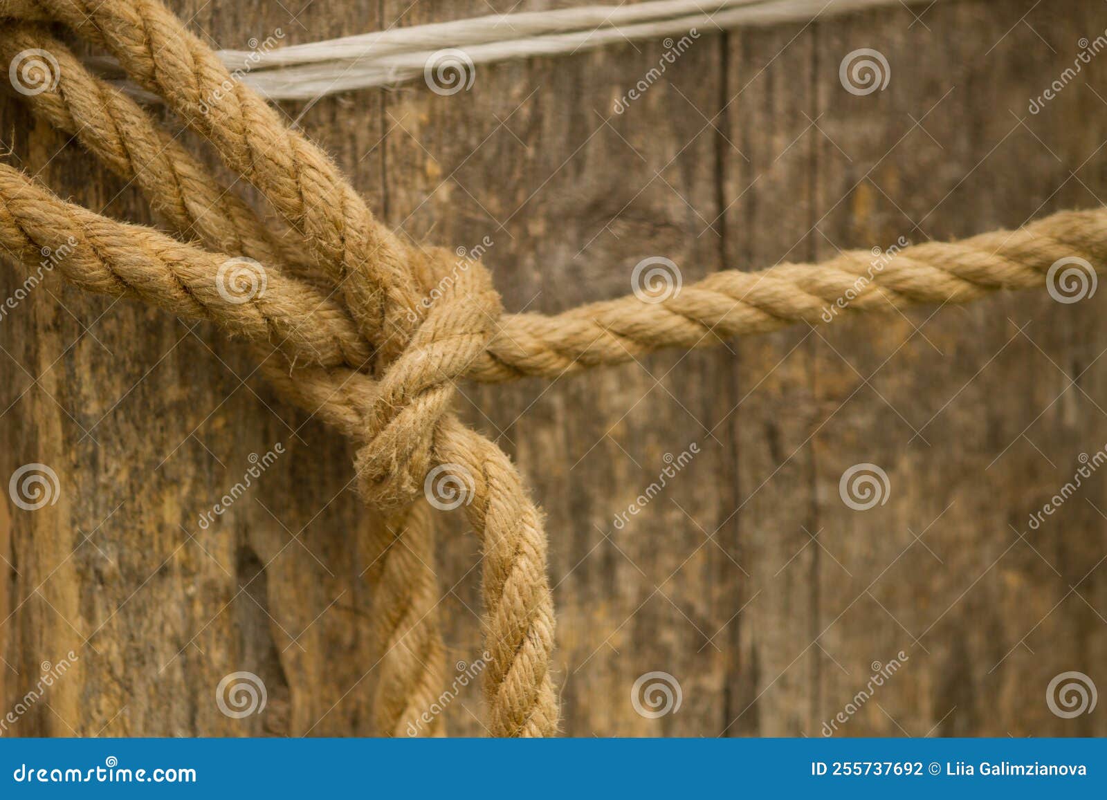Rope knot on wooden board stock photo. Image of texture 255737692