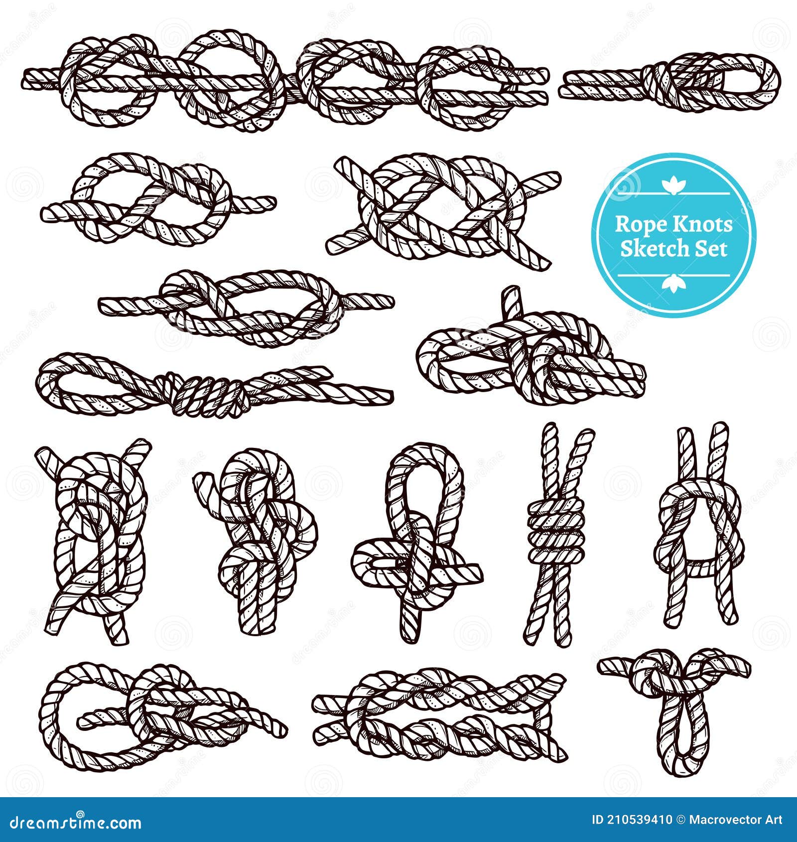 Rope Knots Sketch Set stock vector. Illustration of graphic 210539410