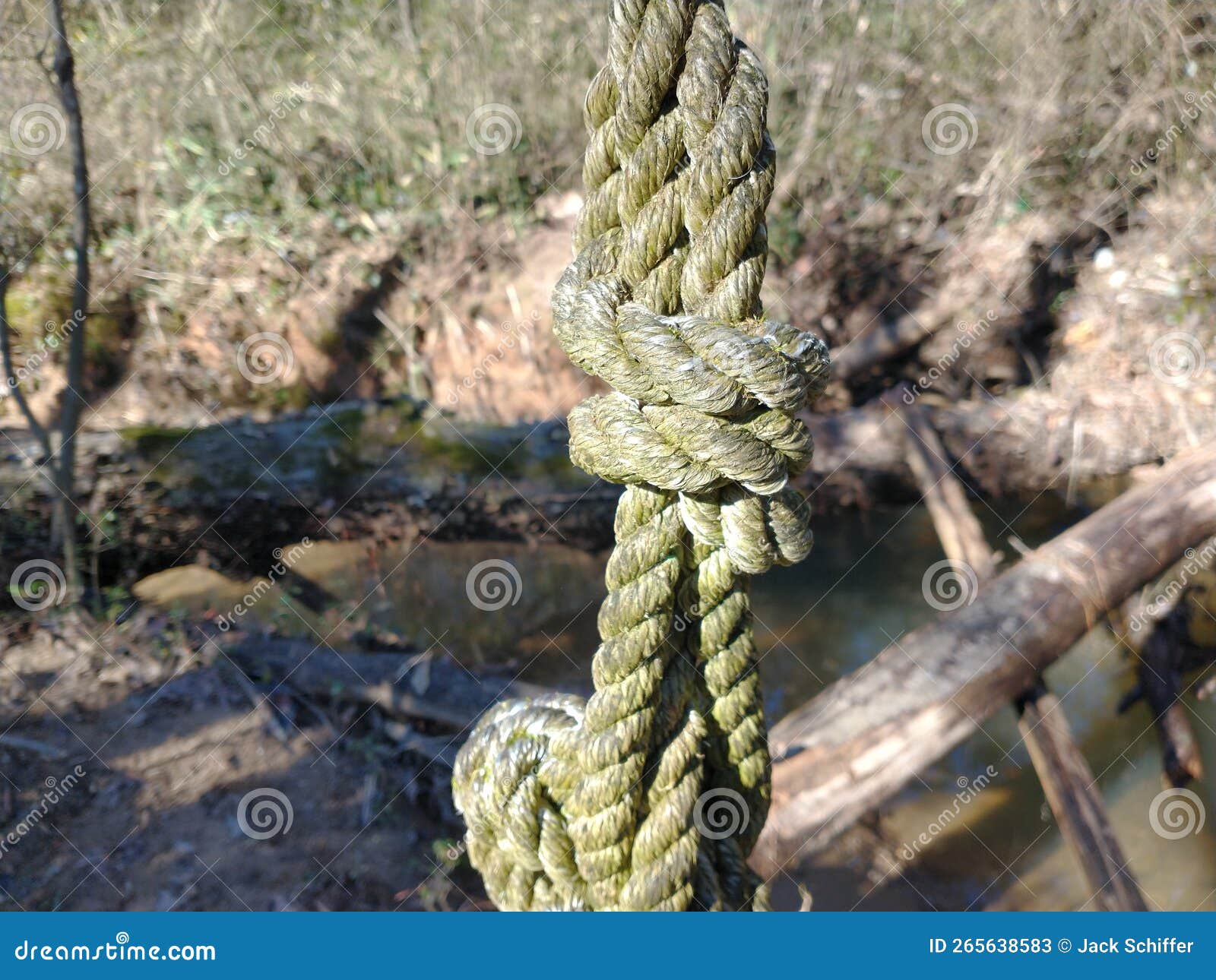 Rope knots in the wild stock image. Image of wood, nature 265638583