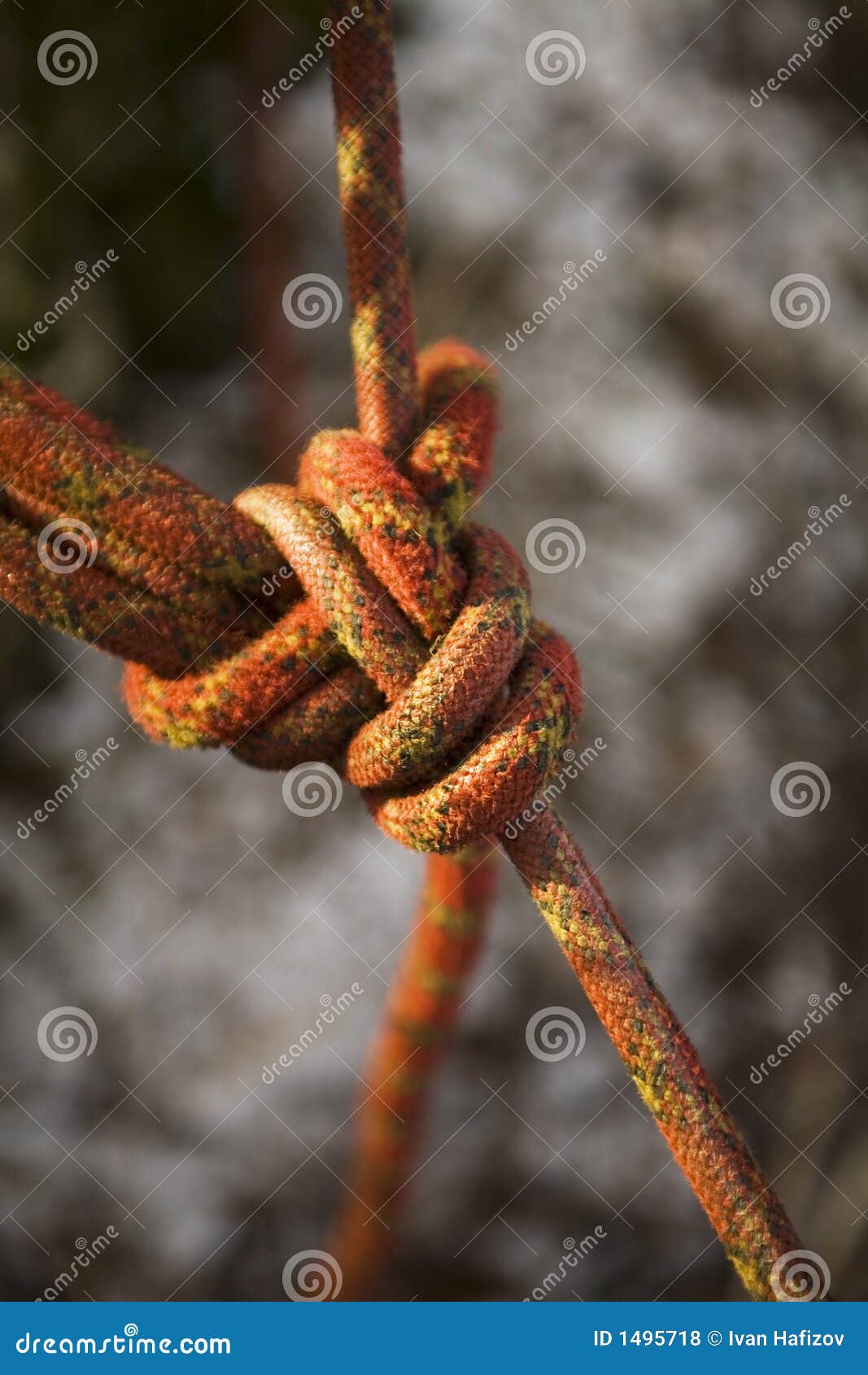 Rope Lock. the Climbing Insurance. Stock Photo Image of hold, hang