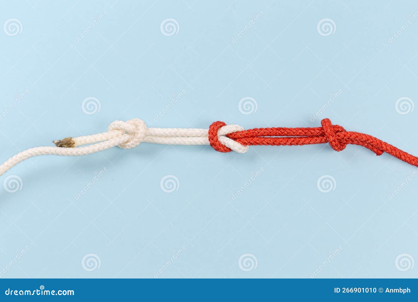 Rope Reef Knot with Stopper Knots on a Blue Background Stock Photo