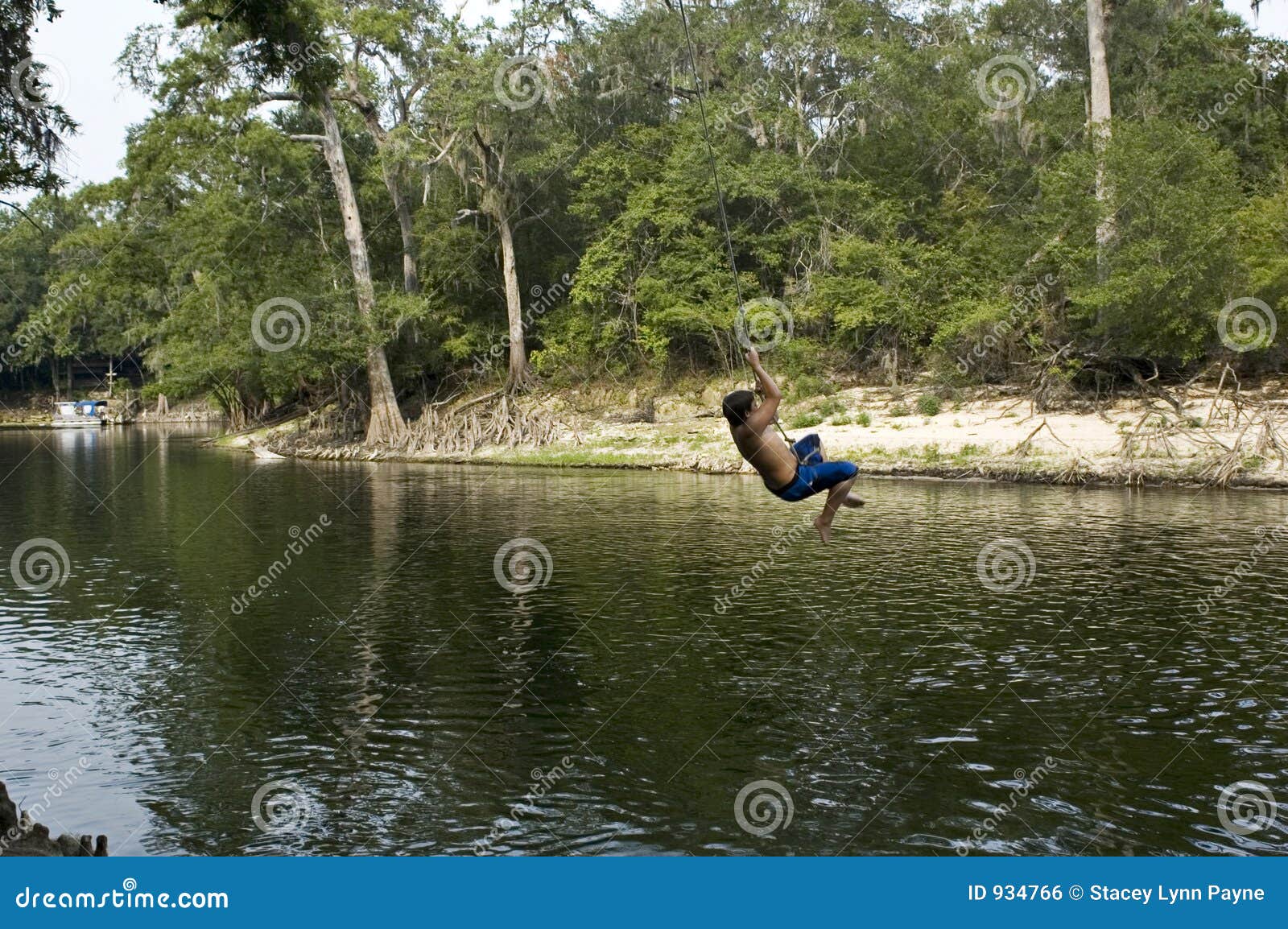 Rope Swing 1 stock photo. Image of wilderness, relaxed - 934766