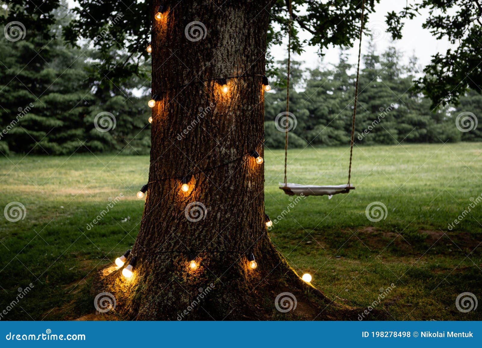 122 Rope Lights Garden Stock Photos - Free & Royalty-Free Stock Photos from  Dreamstime