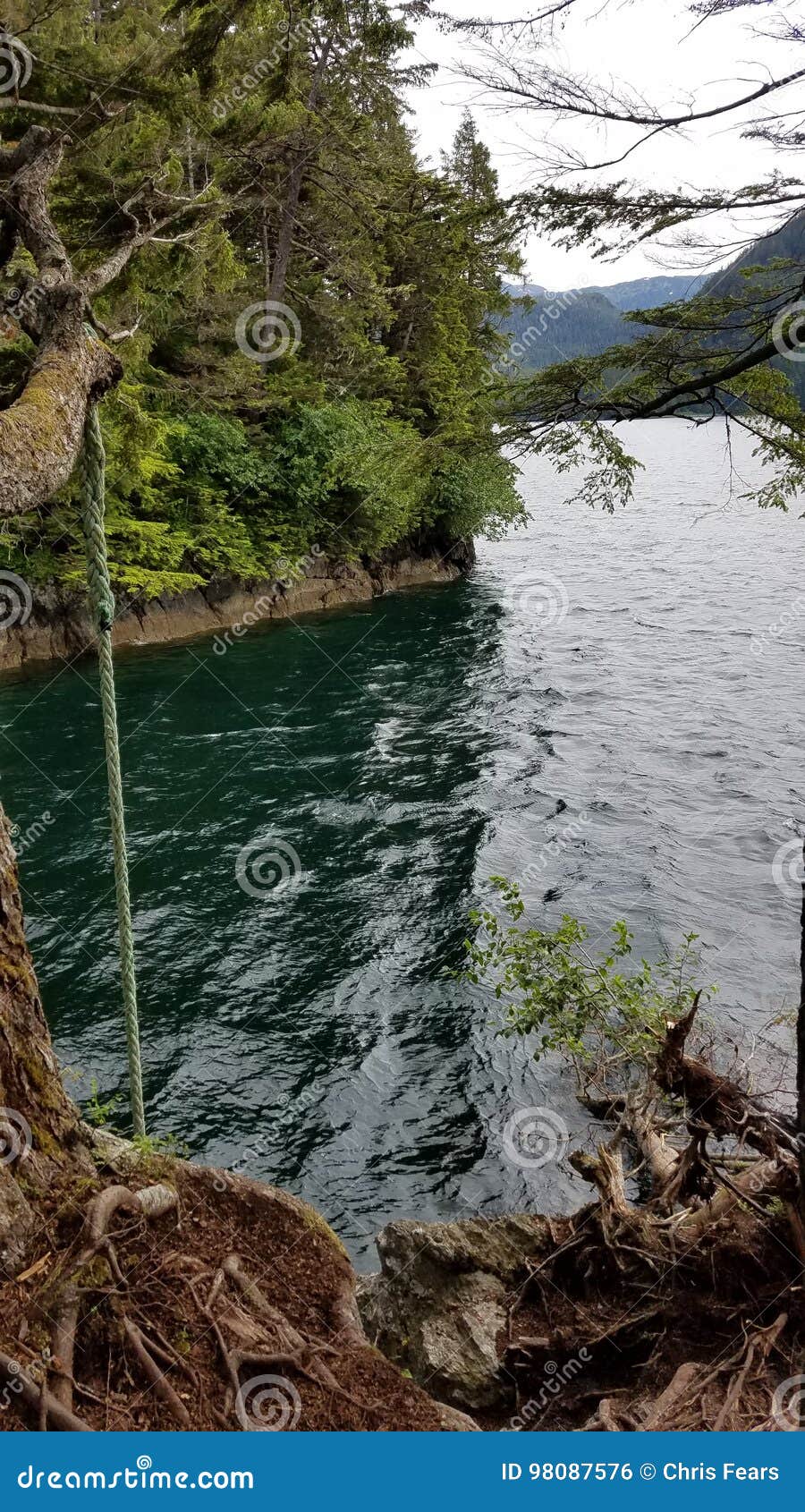 The rope swing stock photo. Image of swing, rope, swimming - 98087576