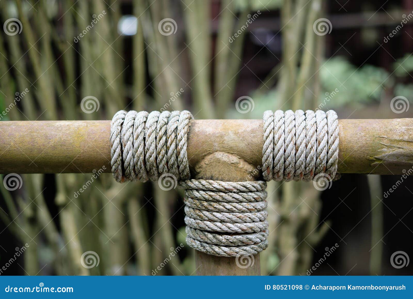 Rope stock photo. Image of abstract, bamboo, pattern - 80521098