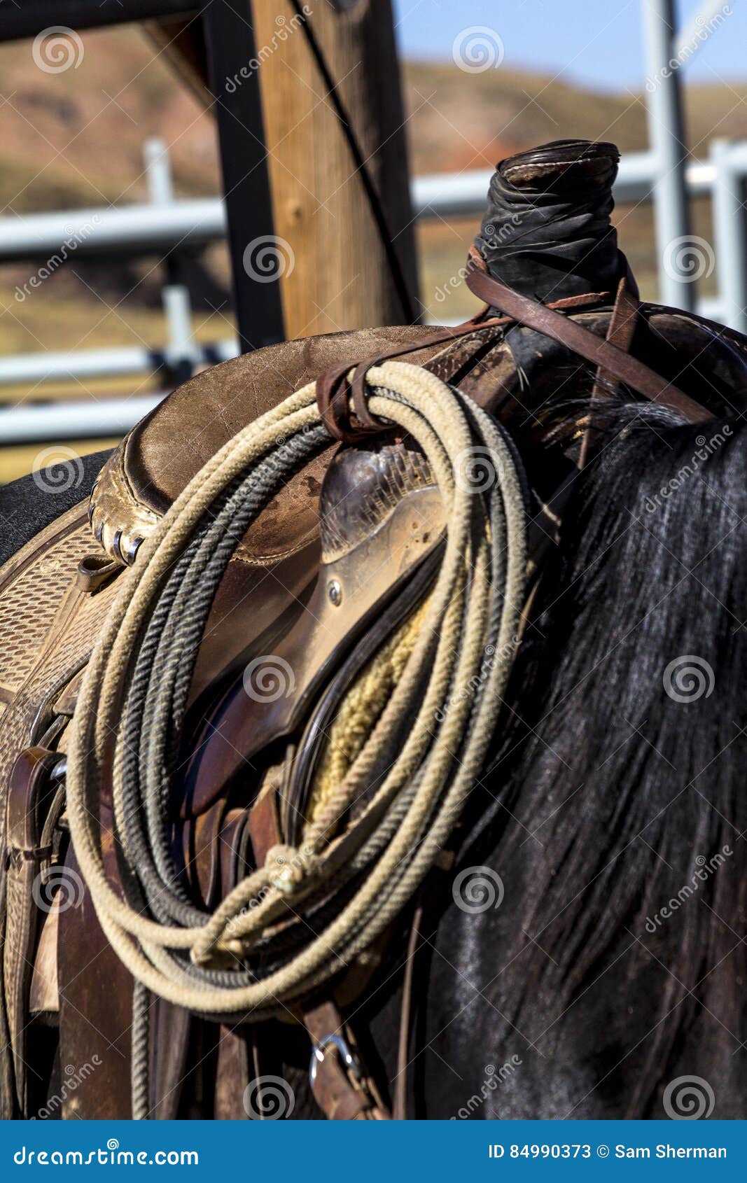 rope tied to saddle