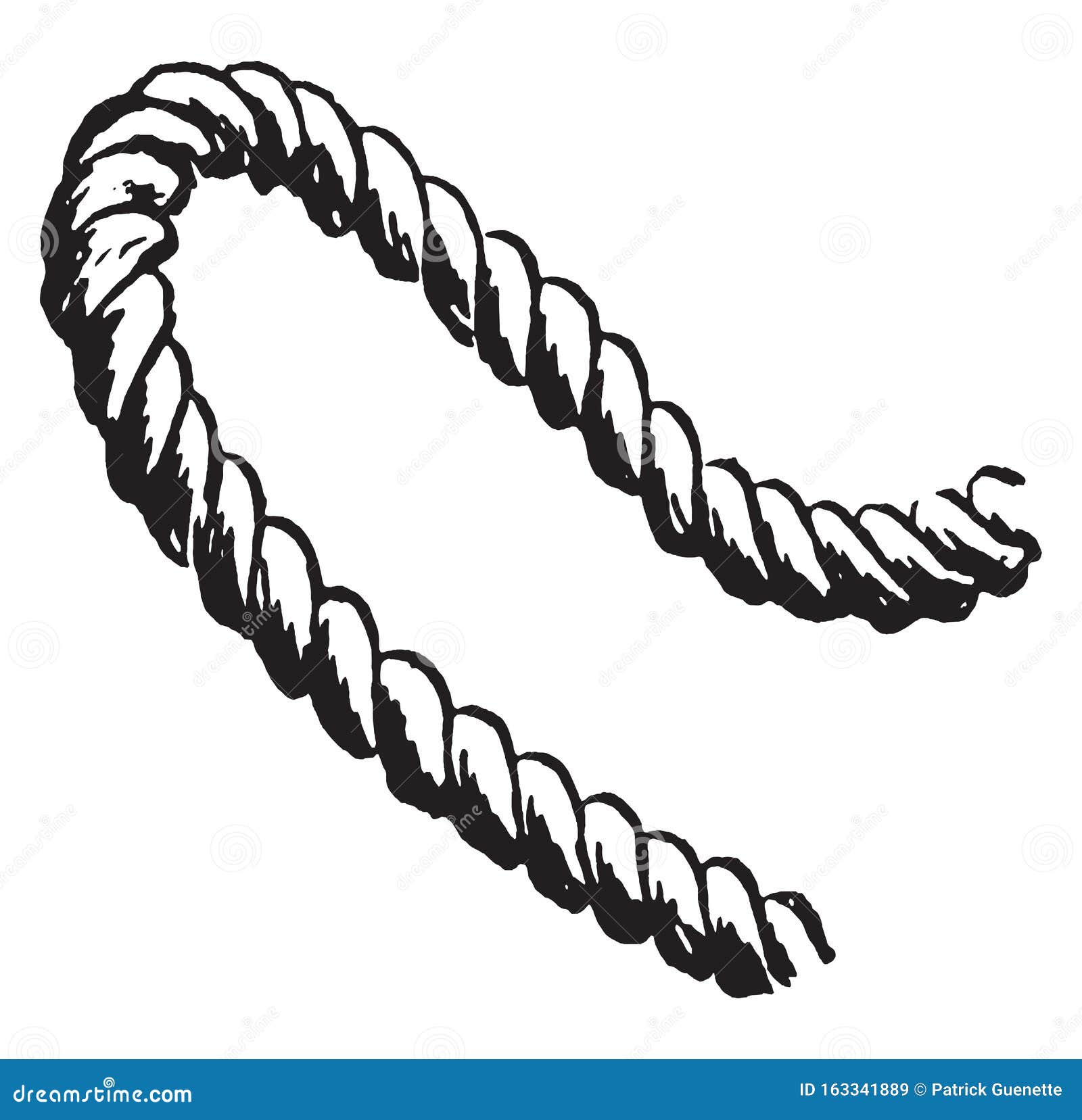 Rope, vintage illustration stock vector. Illustration of line